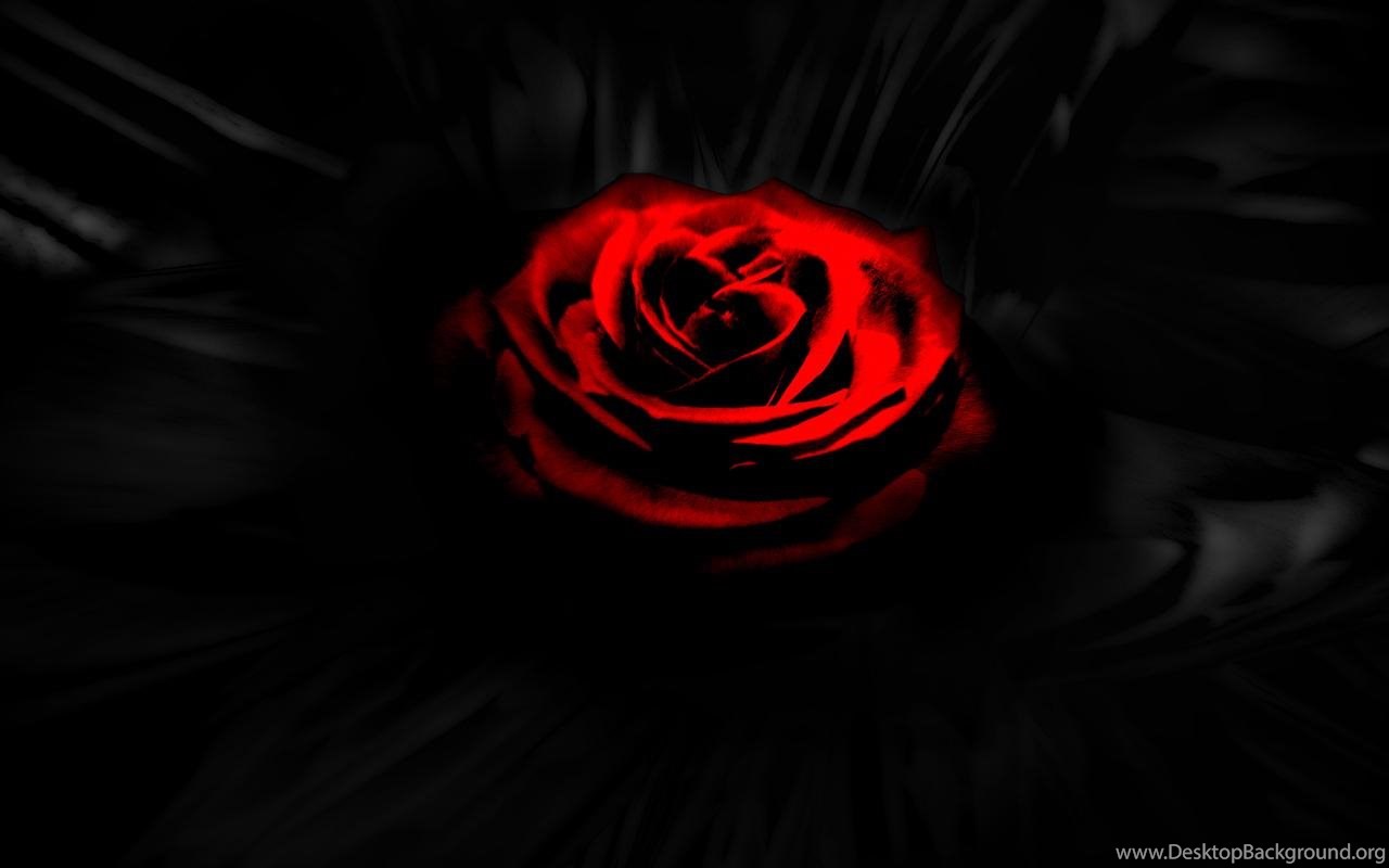 RED ROSE IN THE DARK WALLPAPER Desktop Background