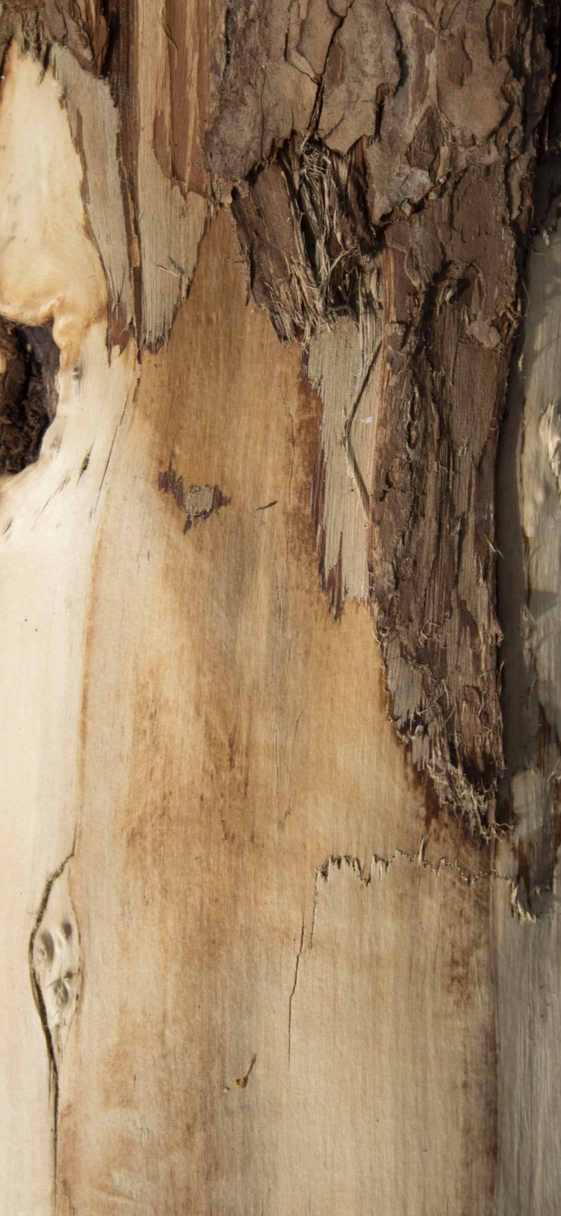 iPhone XS, iPhone X wallpaper 0419