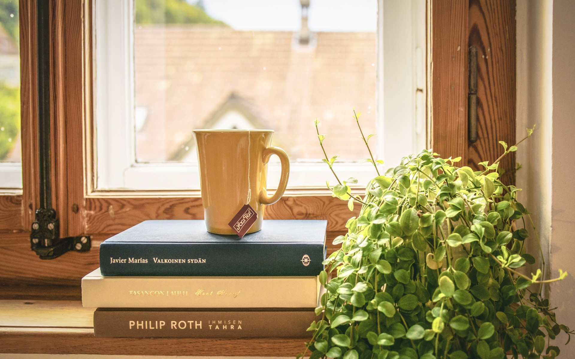 Download 1920x1200 Window, Books, Cup, Tea, Plant, Mood Wallpaper for MacBook Pro 17 inch