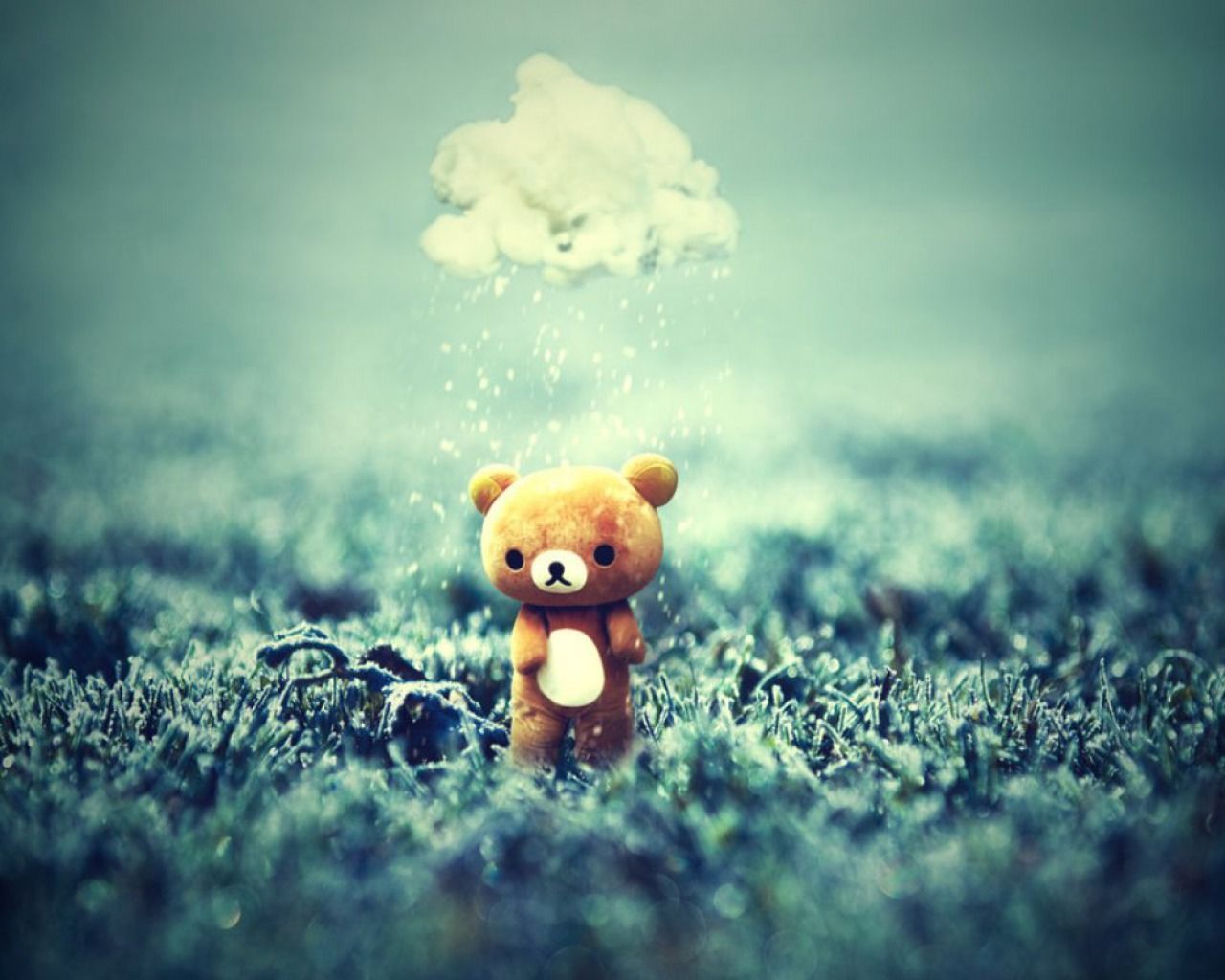 Teddy Bear Wallpaper HD