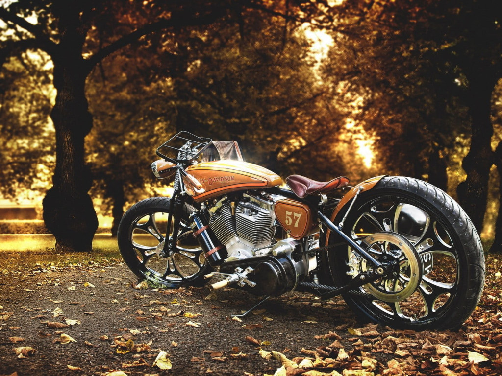 Brown And Gray Cruiser Motorcycle, Brown Bobber Motorcycle, Harley Davidson Wallpaper • Wallpaper For You