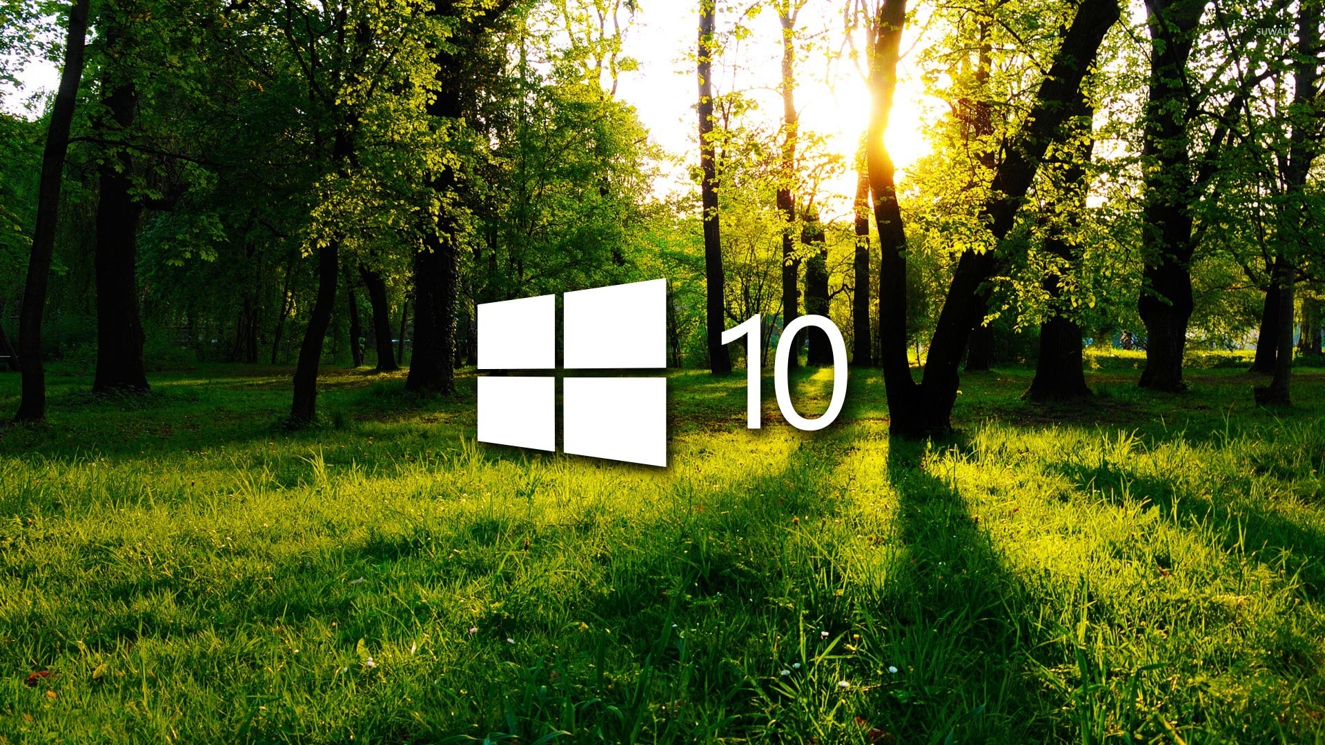 Windows 10 in the green forest white logo wallpaper wallpaper