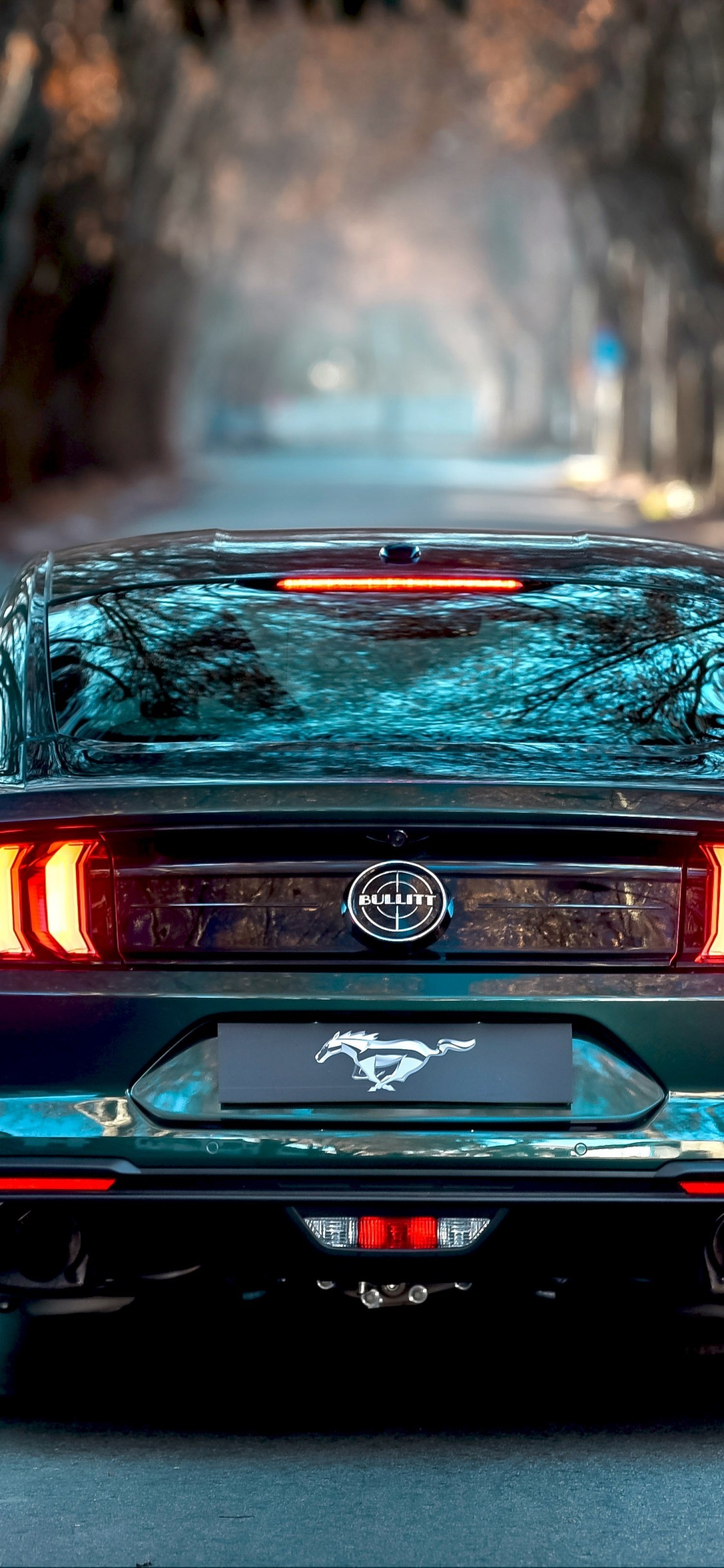 Ford Mustang Bullitt, Back View, Road, Muscle Cars Wallpaper 4k For Mobile