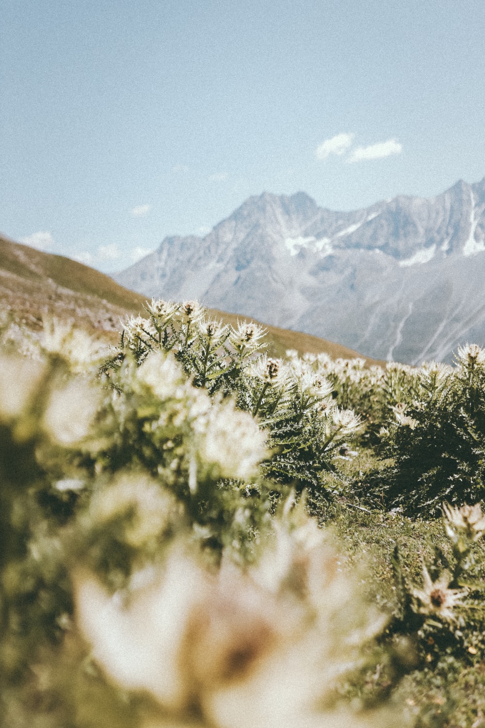 green and brown grass field near brown mountain under blue sky during daytime photo