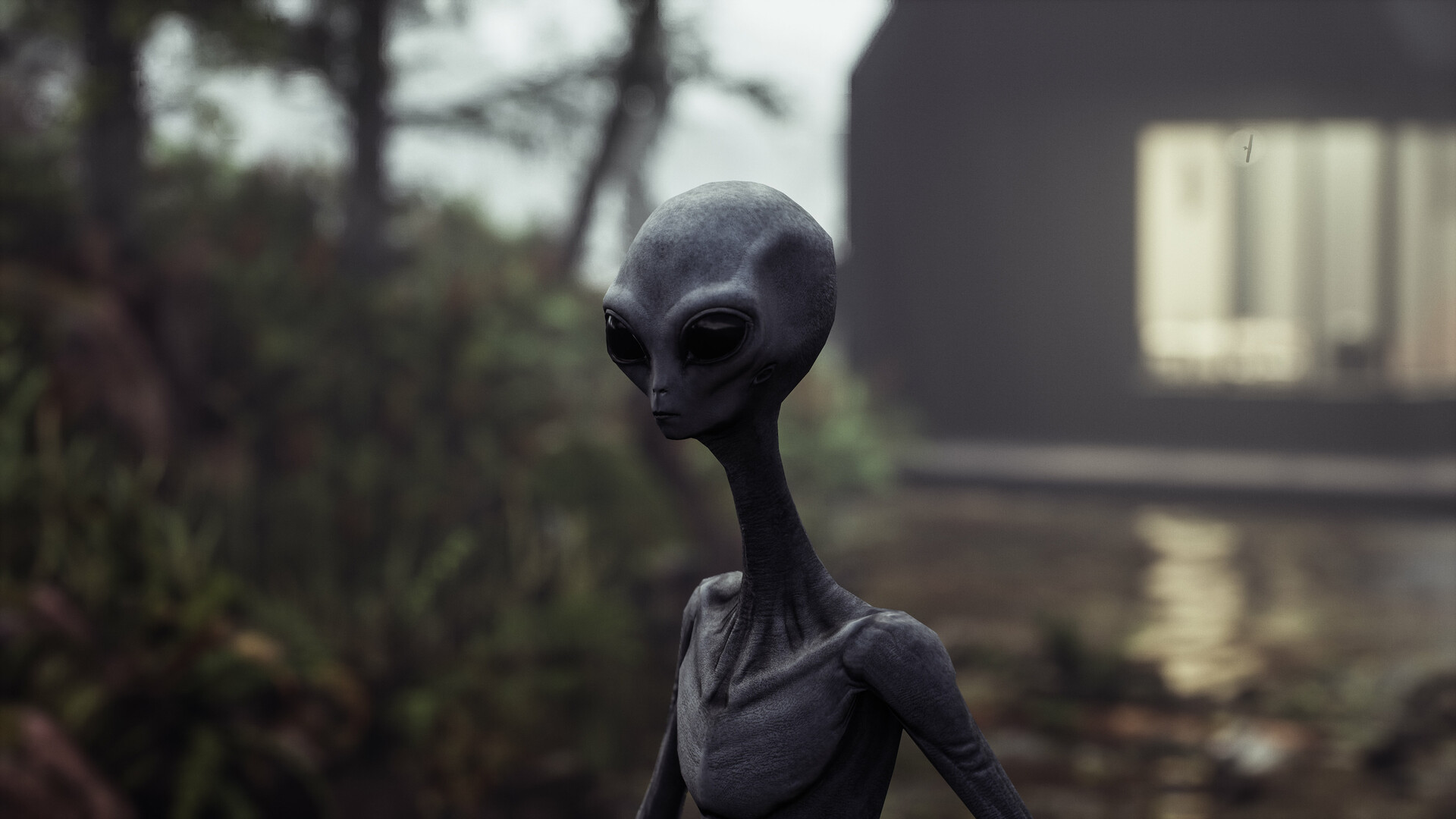 grey alien wallpaper