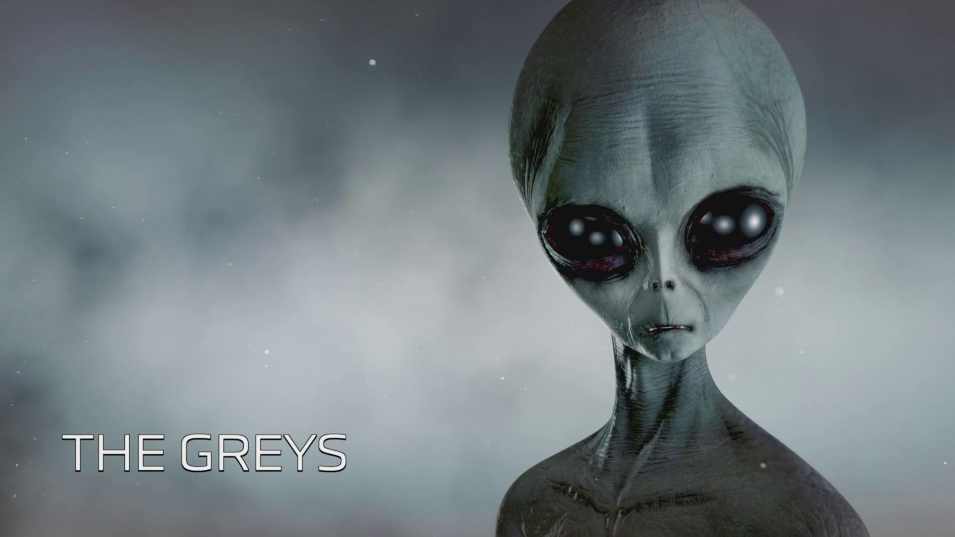 UFO Witness The Hybrid Secret (TV Episode 2021)