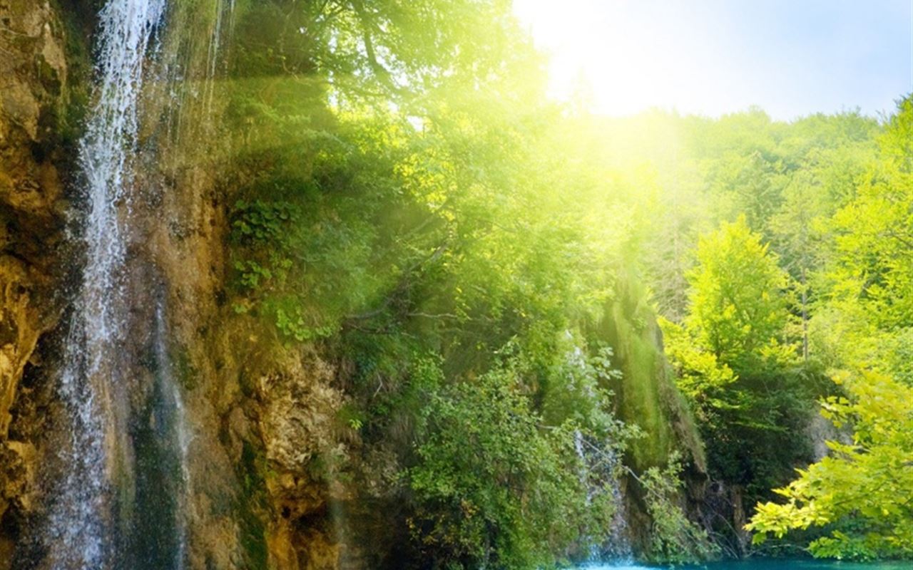 Woodlands Fall Lush iPad Wallpaper Free Download