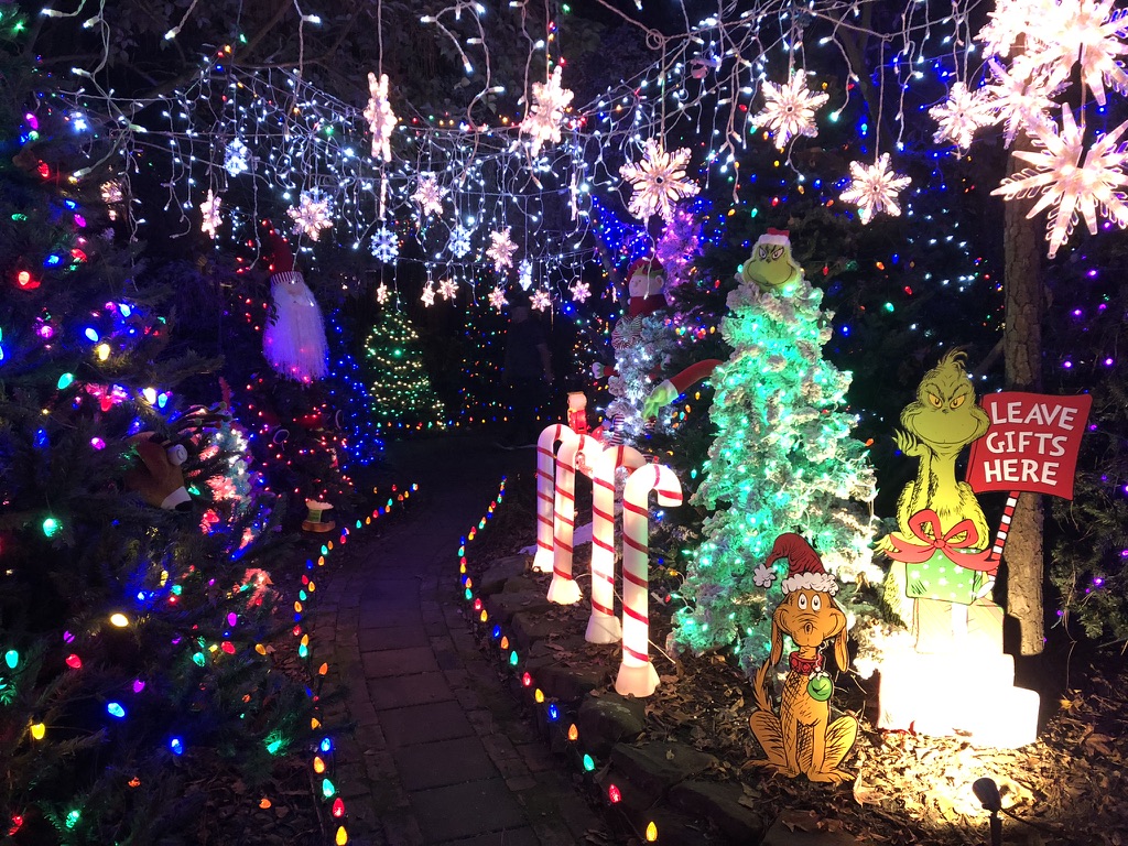 Christmas Lights in The Woodlands Area 2021
