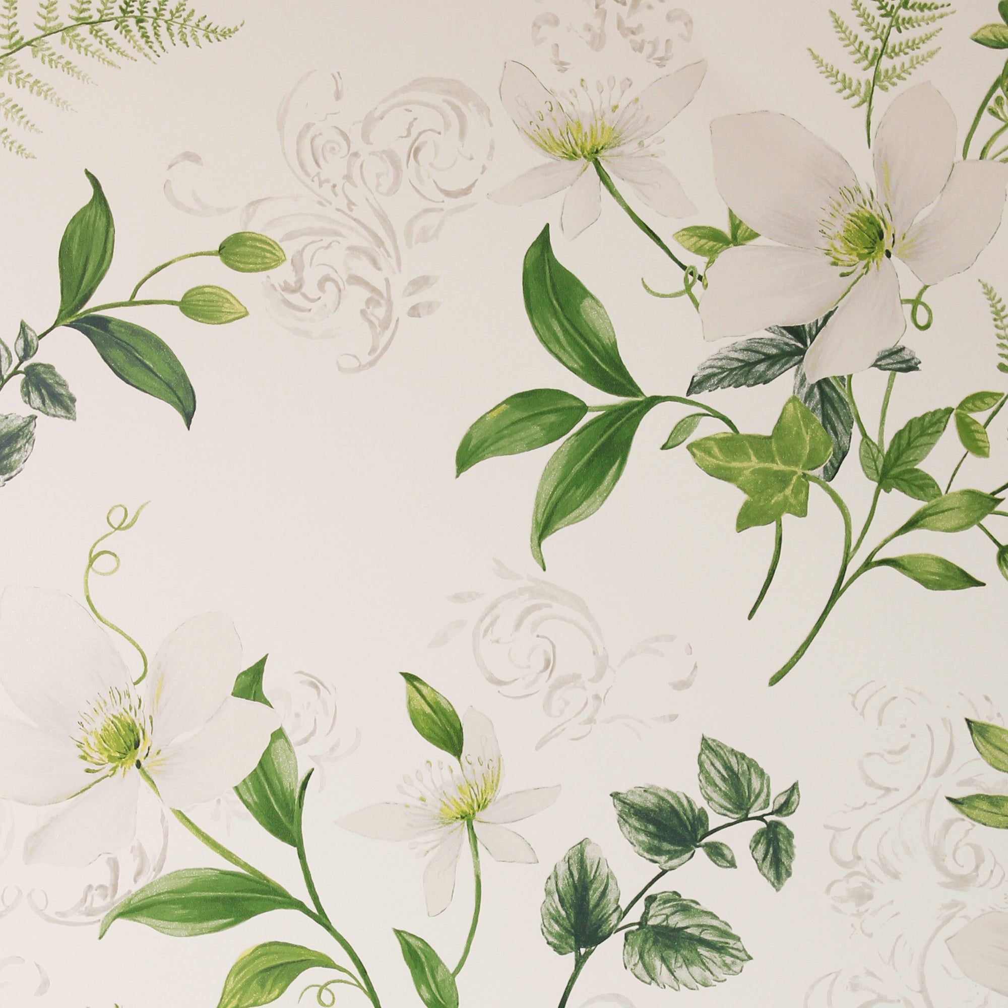 Dorma Botanical Wallpaper. Green floral wallpaper, Botanical wallpaper, Wallpaper