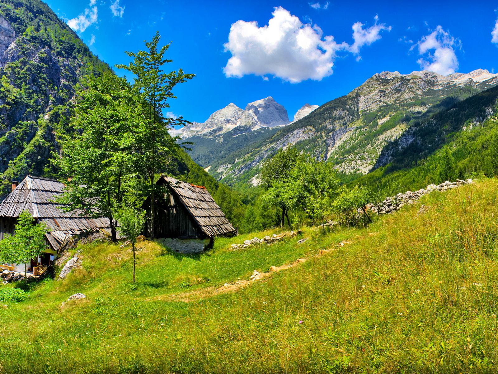 Download wallpaper 1600x1200 slovenia, mountains, grass, summer, sun standard 4:3 HD background