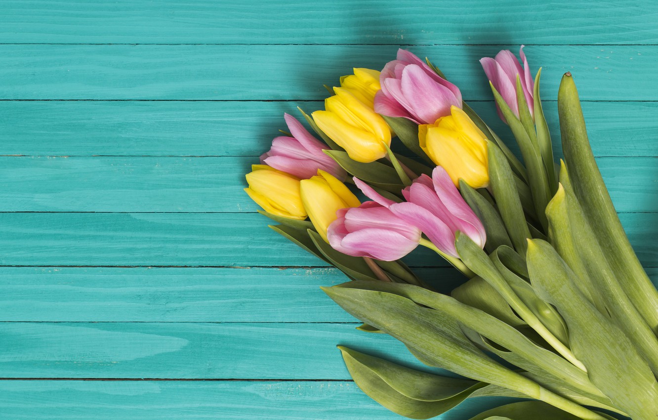 Wallpaper flowers, yellow, colorful, tulips, pink, yellow, wood, pink, flowers, tulips, spring image for desktop, section цветы