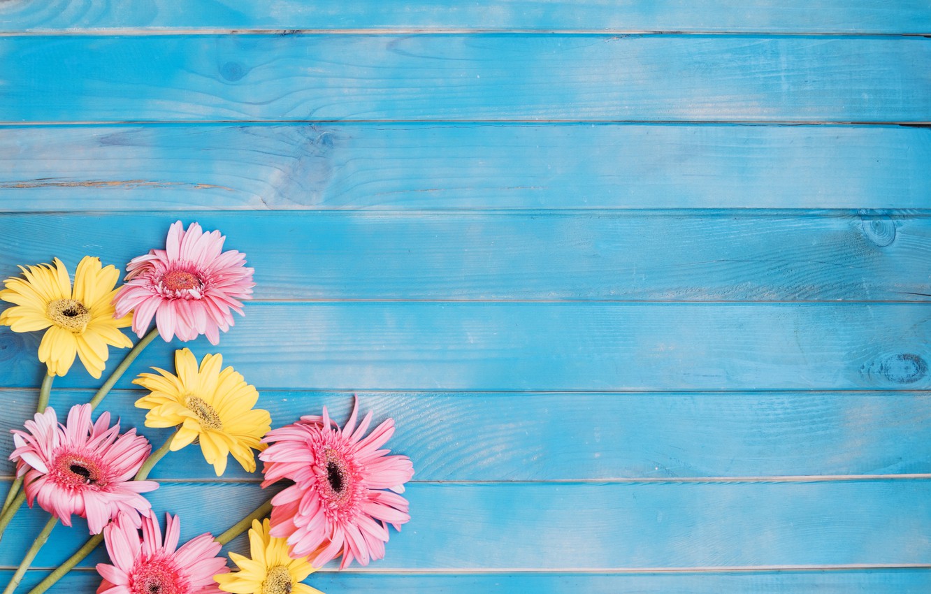 Wallpaper flowers, background, yellow, colorful, pink, gerbera, yellow, wood, pink, flowers, spring, gerbera image for desktop, section цветы