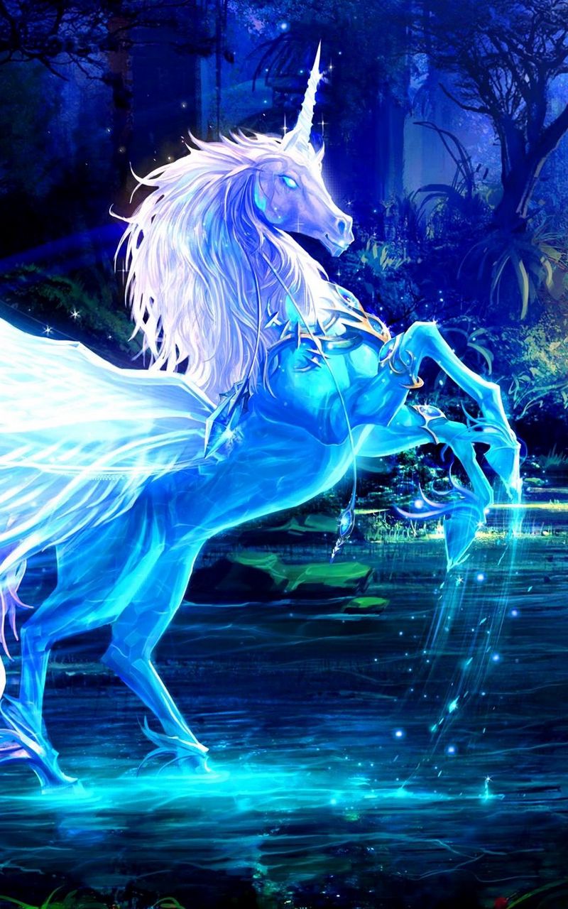 Download Wallpaper 800x1280 Unicorn, Water, Forest, Night, Magic Samsung Galaxy Note Gt N7000, Meizu Mx2 HD Background