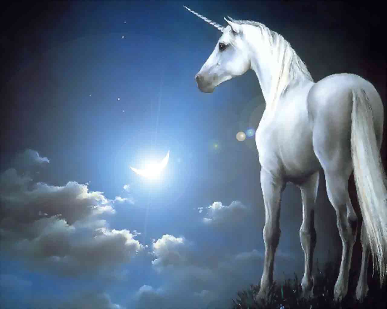 Unicorn Wallpaper HD 02555