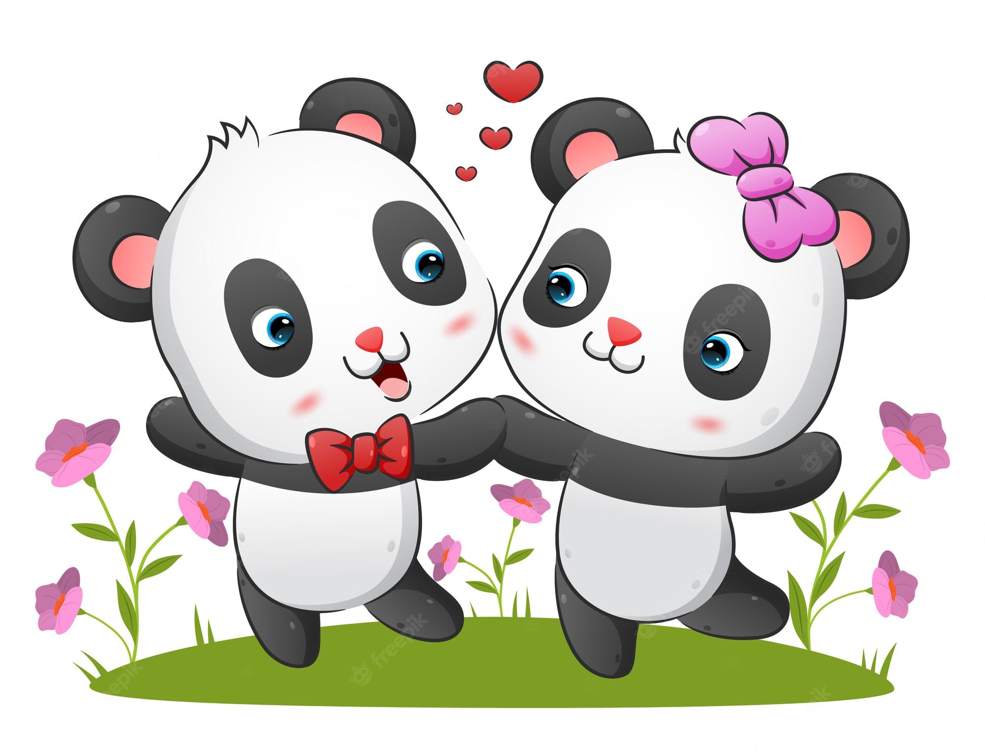 Panda Couple Image. Free Vectors, & PSD