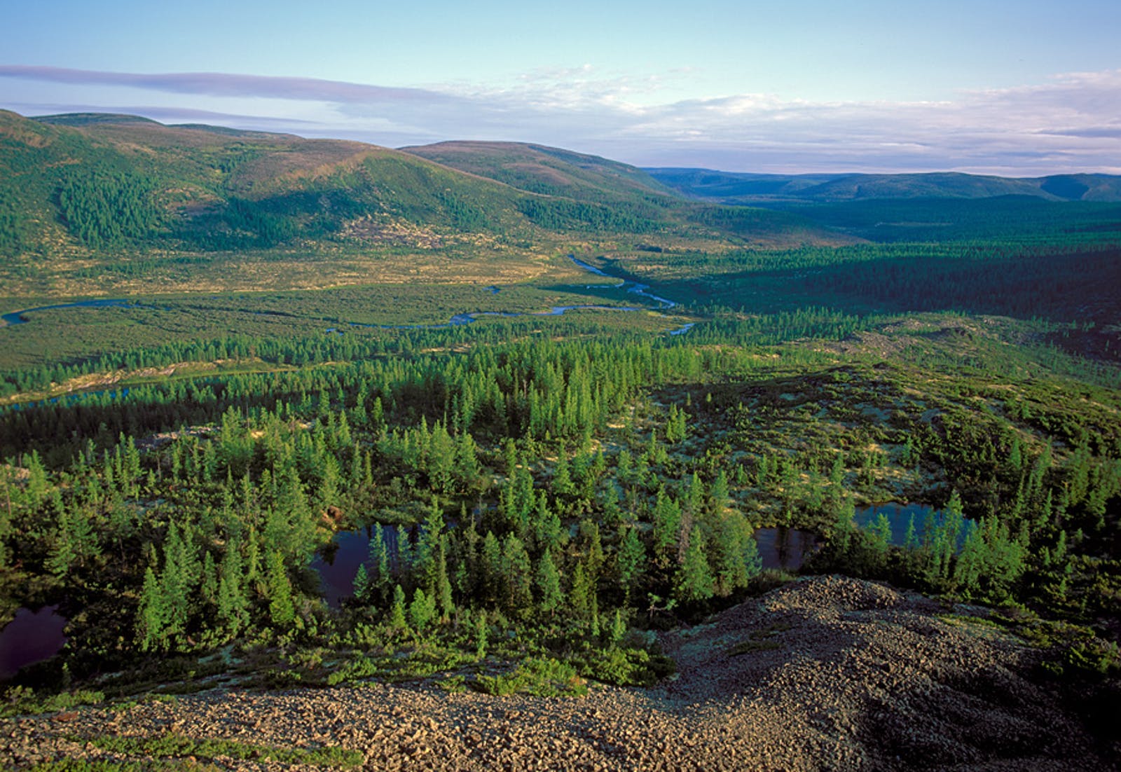 Eastern Siberian Taiga Wallpapers - Wallpaper Cave
