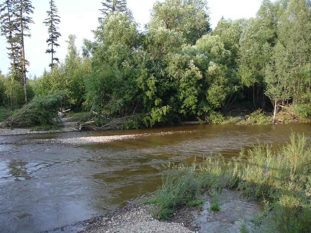 Siberian Taiga. Somewhere in the east, north of Khabarovsk