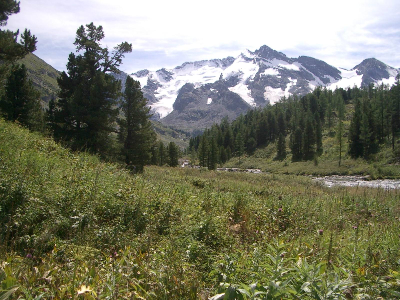 Altai Mountains, Russia 3 Free