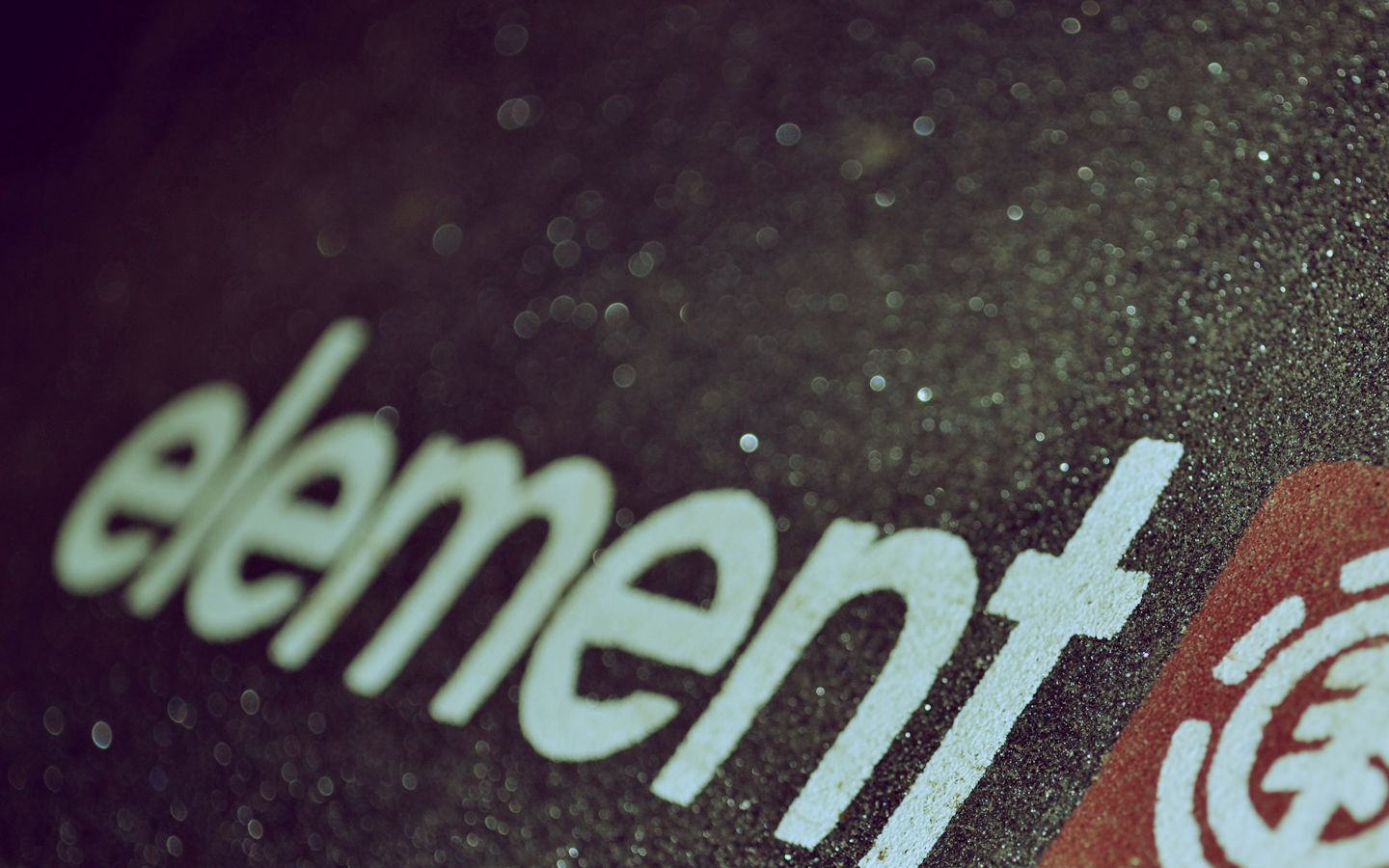 Skateboard Element Logo