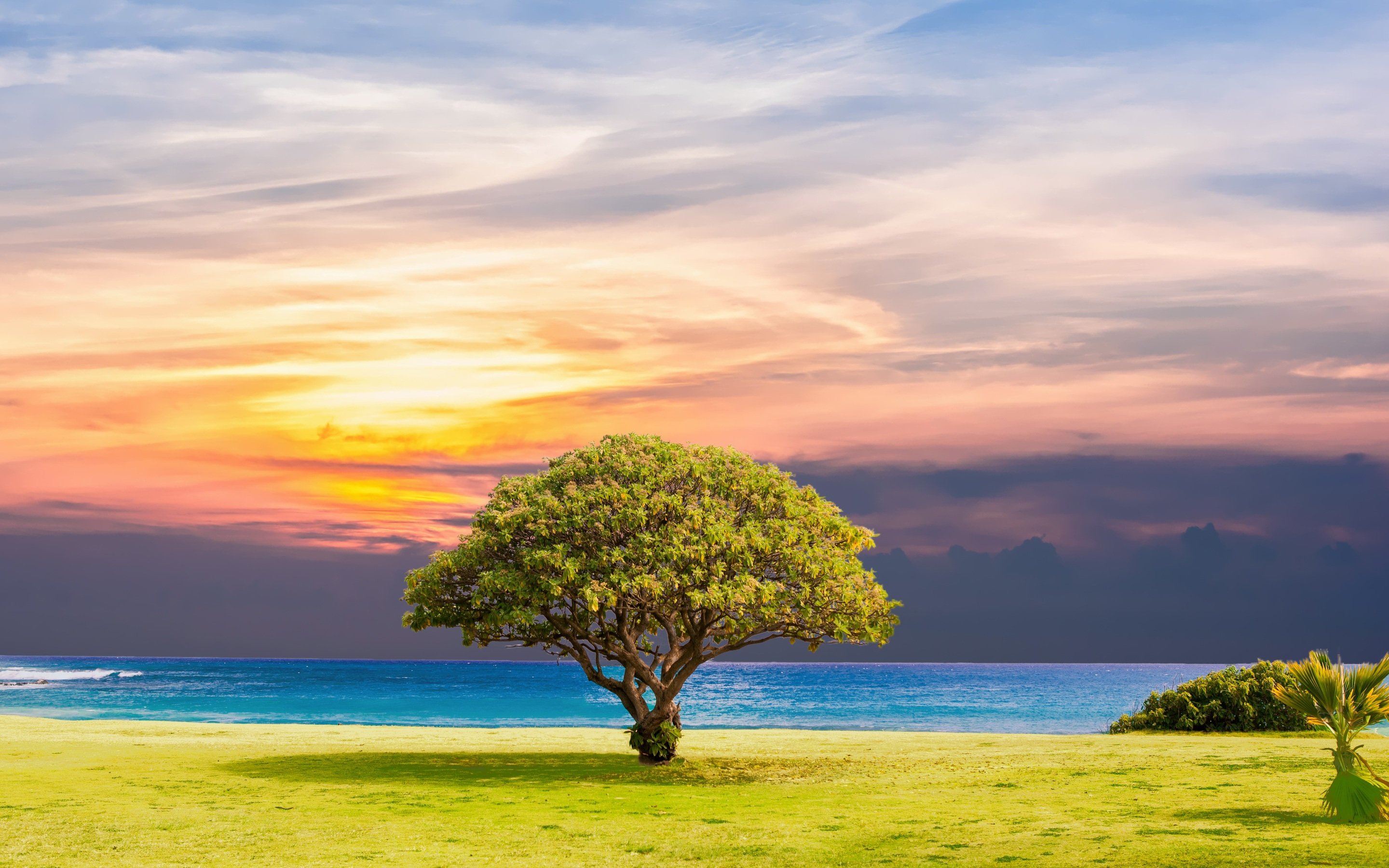 Ocean Summer Tree Landscape 5k Macbook Pro Retina HD 4k Wallpaper, Image, Background, Photo and Picture