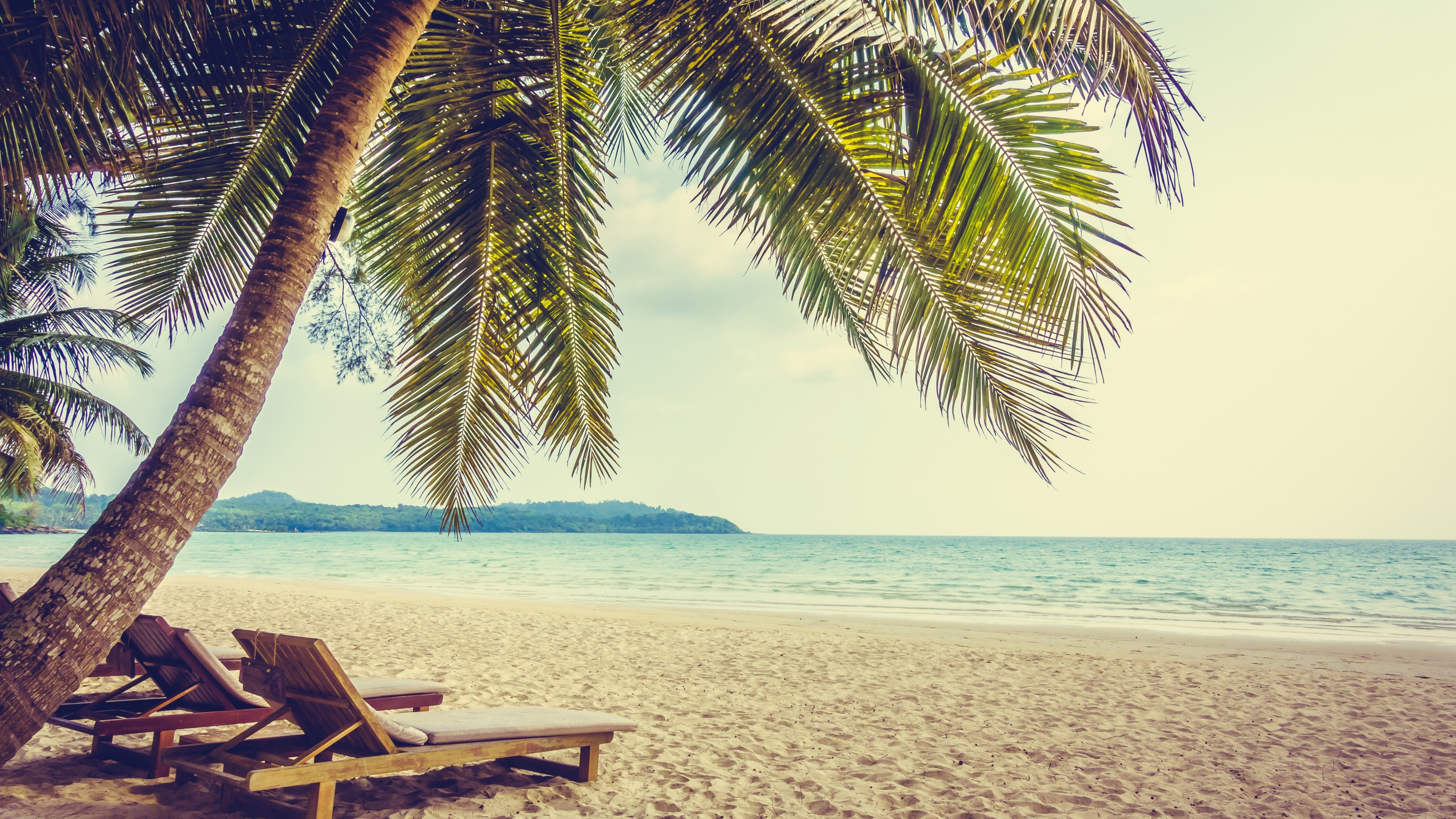 Download 5120x2880 palm tree, beach, sand, holiday, summer 5k wallpaper, 5120x2880 5k image, background, 1873