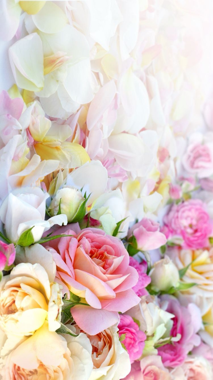 Pink Yellow White Pastel Flowers Roses Floral iPhone And White Roses Background