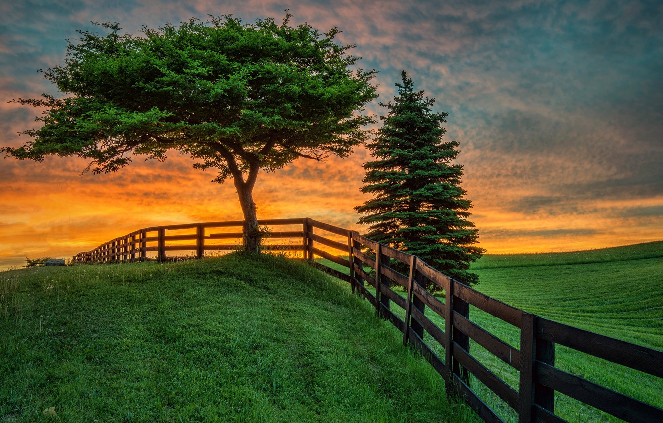 Wallpaper field, summer, landscape, sunset, tree, the fence image for desktop, section пейзажи