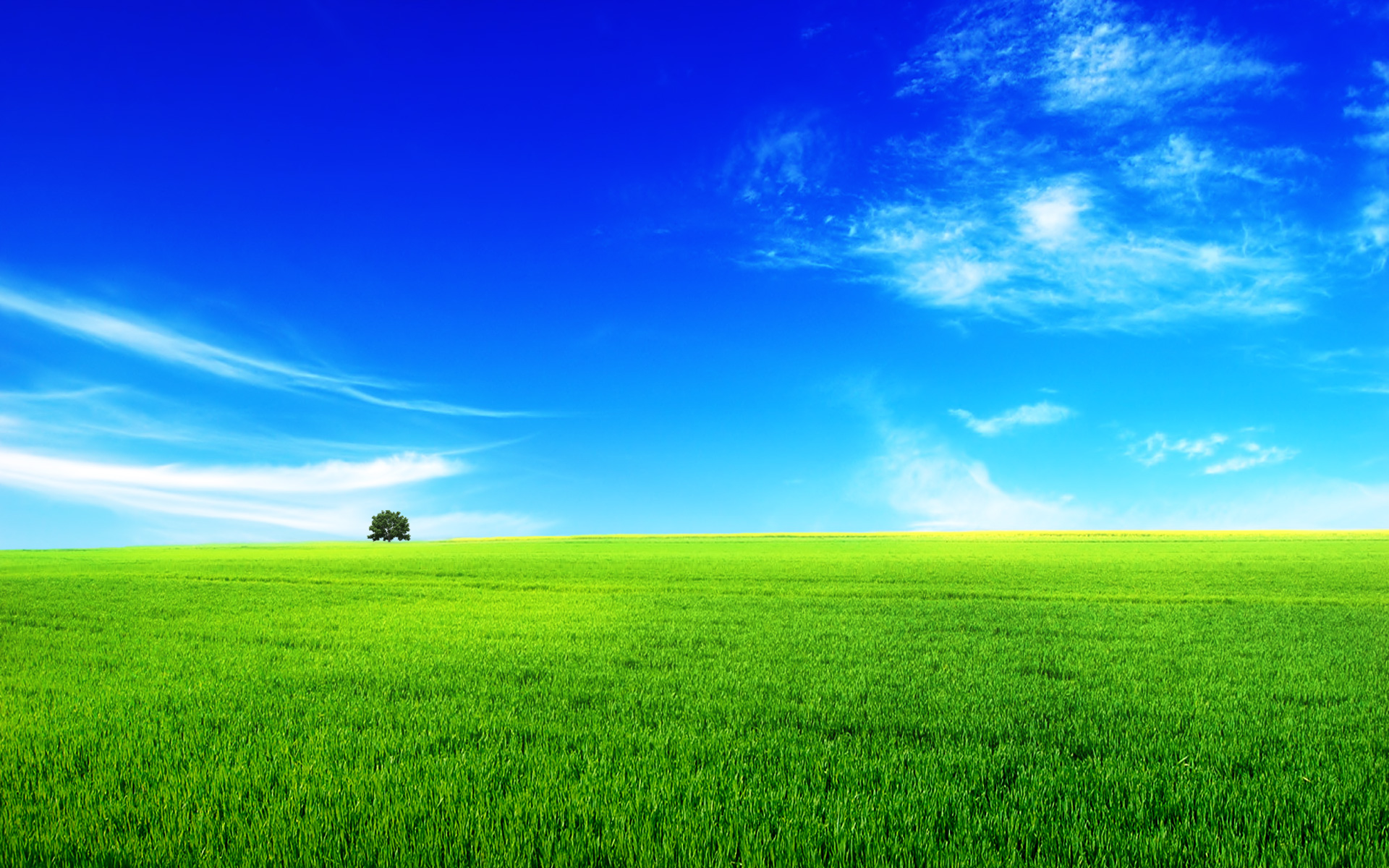 Summer Landscape wallpaperx1200