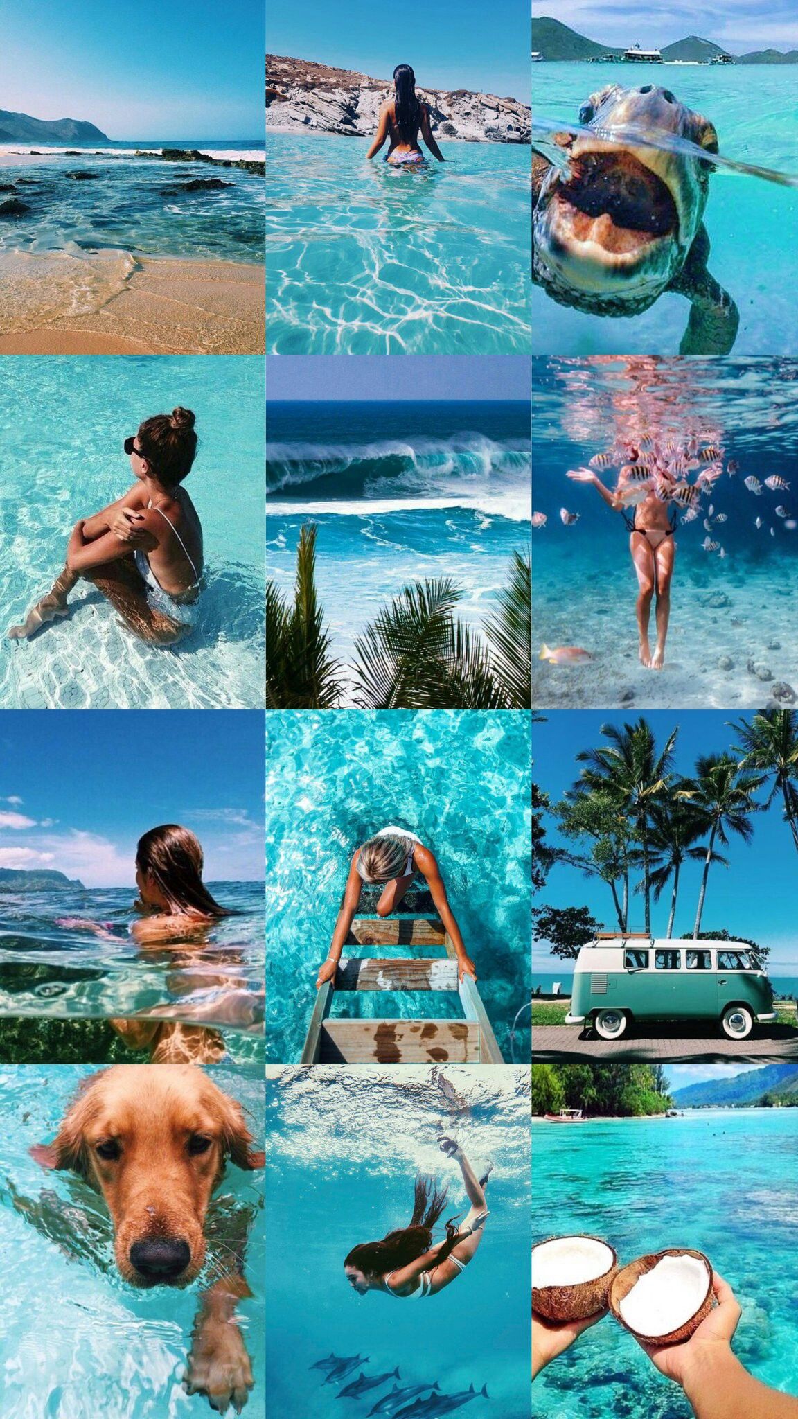 Beach Aesthetic Collage Wallpaper