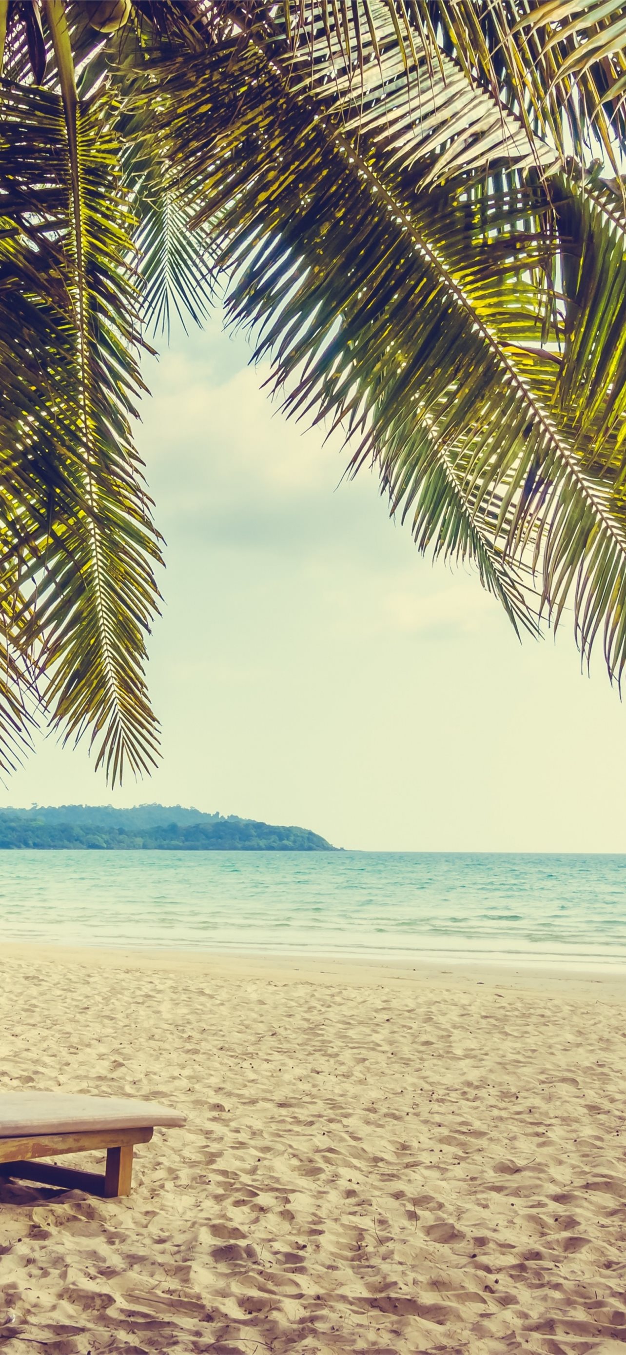 Palm Tree Beach Sand Holiday Summer Summer Holiday. iPhone Wallpaper Free Download