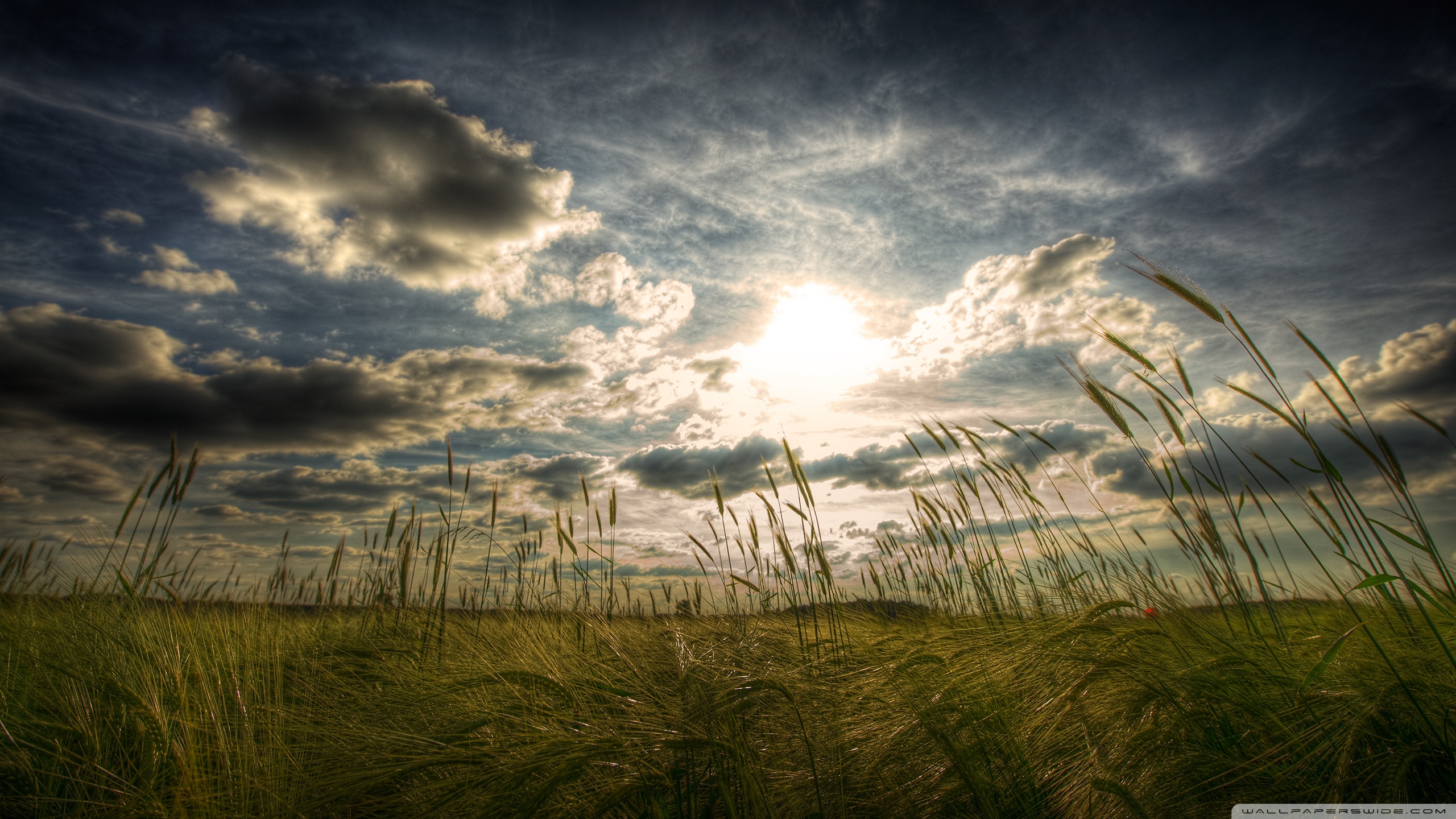 Peaceful Summer Day Ultra HD Desktop Background Wallpaper for: Multi Display, Dual Monitor