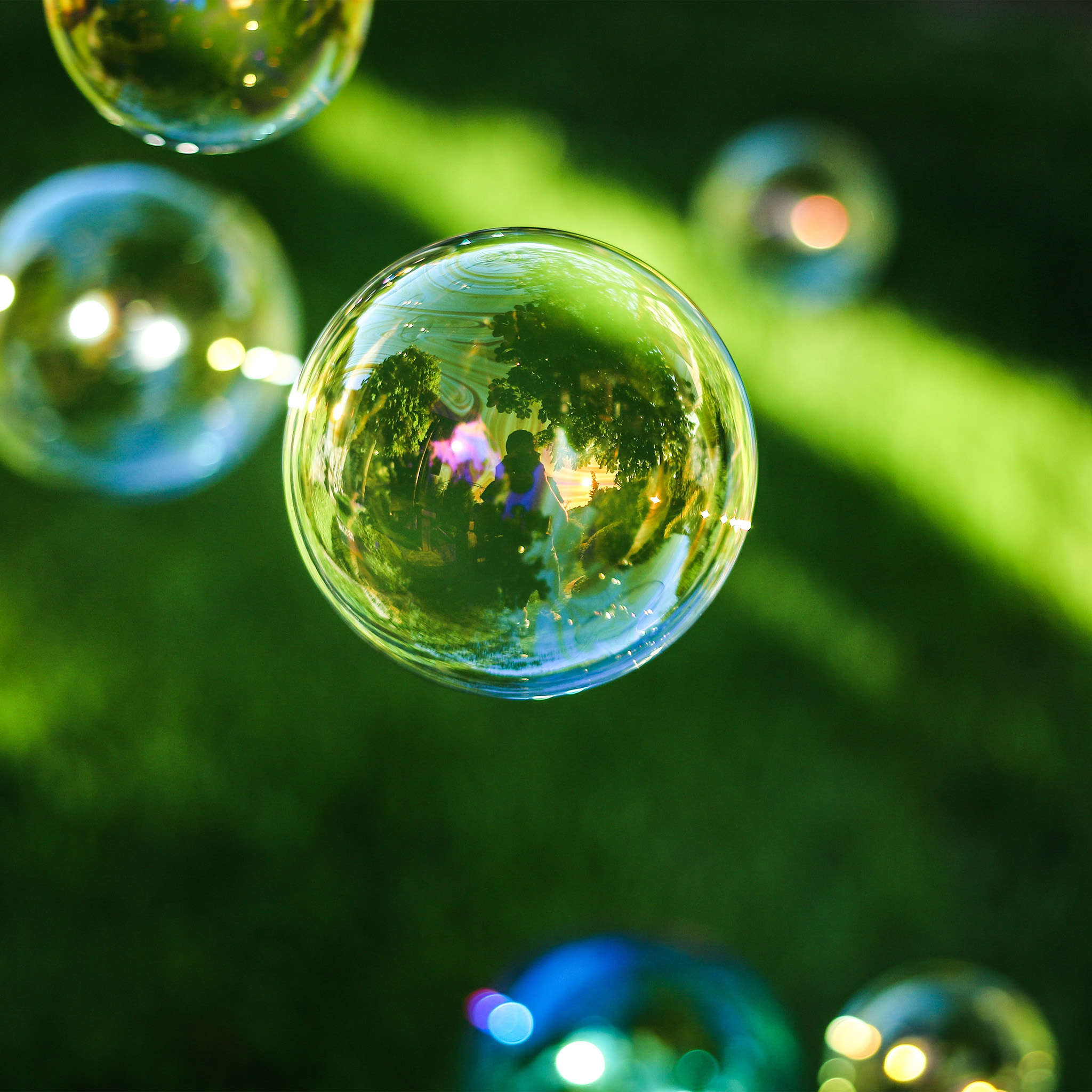 Bubble Summer Day Green Bokeh Wallpaper