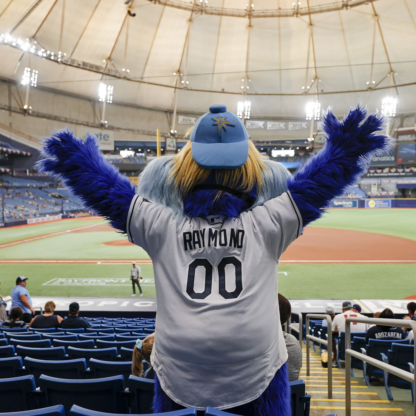 Tampa Bay Rays Mascot Wallpapers - Wallpaper Cave