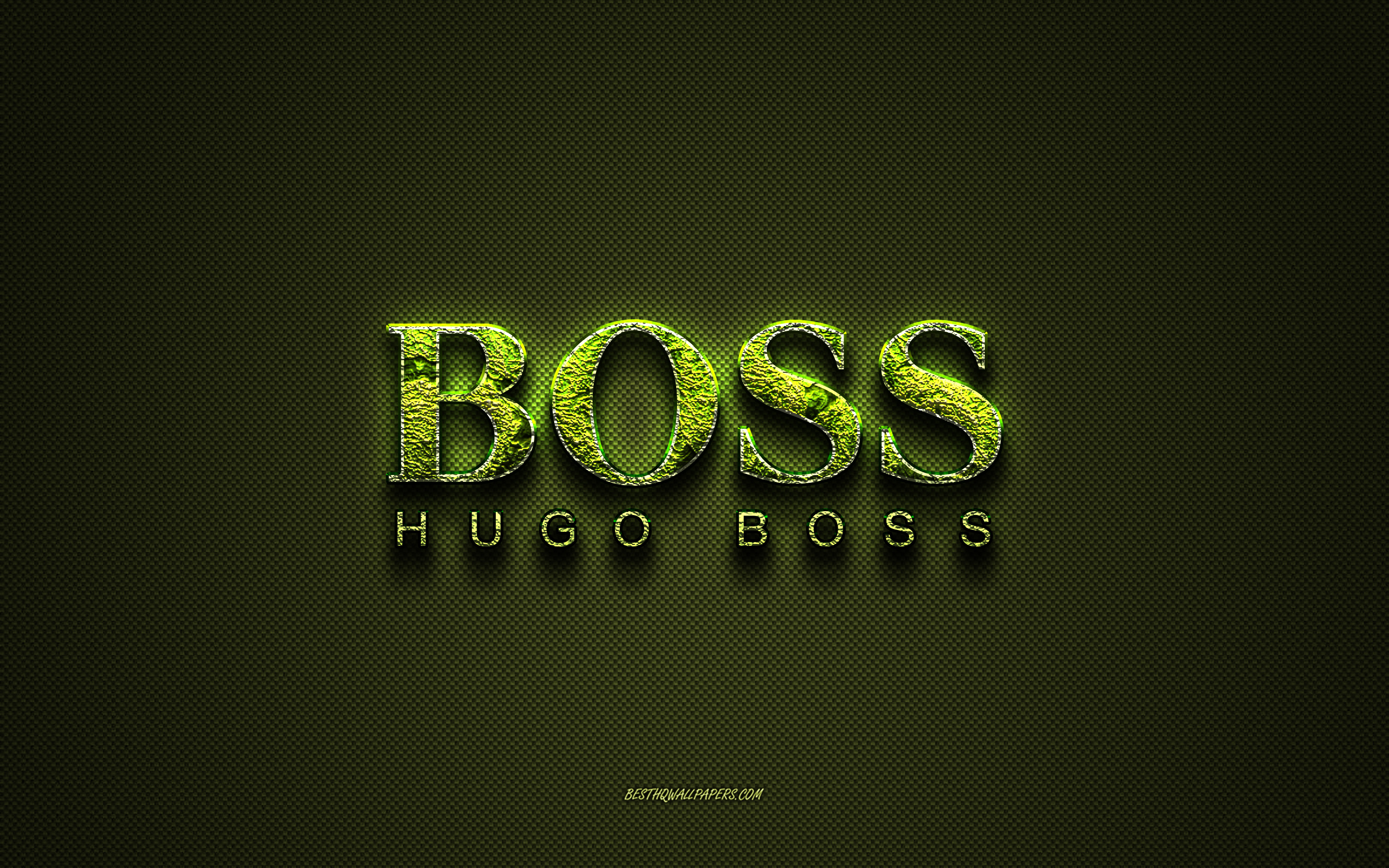 Download wallpaper Hugo Boss logo, green creative logo, floral art logo, Hugo Boss emblem, green carbon fiber texture, Hugo Boss, creative art for desktop with resolution 2880x1800. High Quality HD picture wallpaper