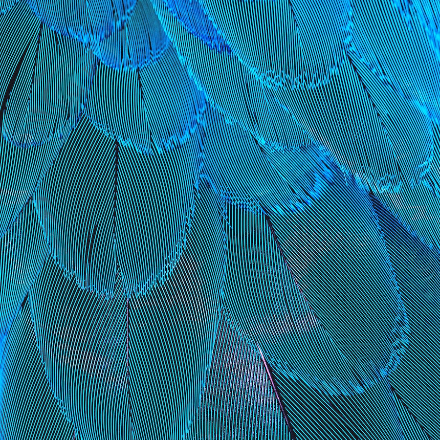 Aquarius Fashion: Turquoise And Aquamarine