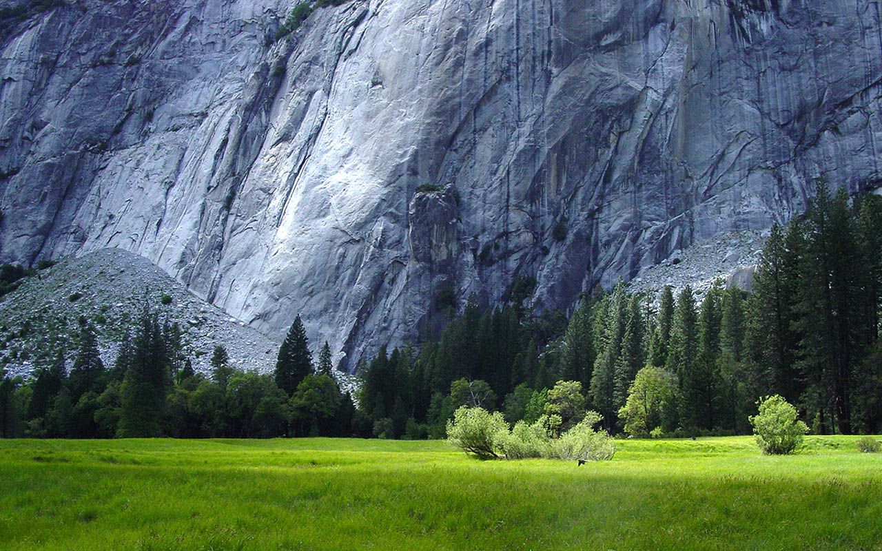 Most Amazing Wallpaper In The World