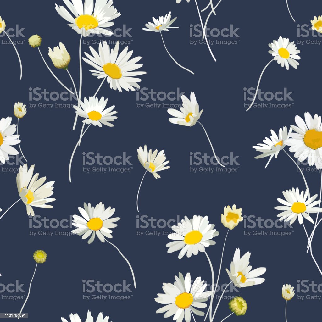 Floral Seamless Pattern With Chamomile Flowers Natural Background With Daisy Flowers For Spring Summer Design Wallpaper Decoration Print Vector Illustration Stock Illustration Image Now