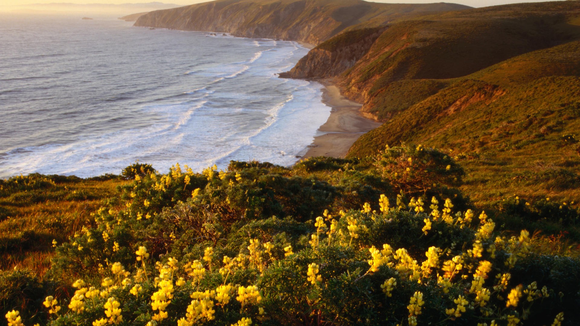 point-reyes-national-seashore-marin-county-california-wallpaper-cave