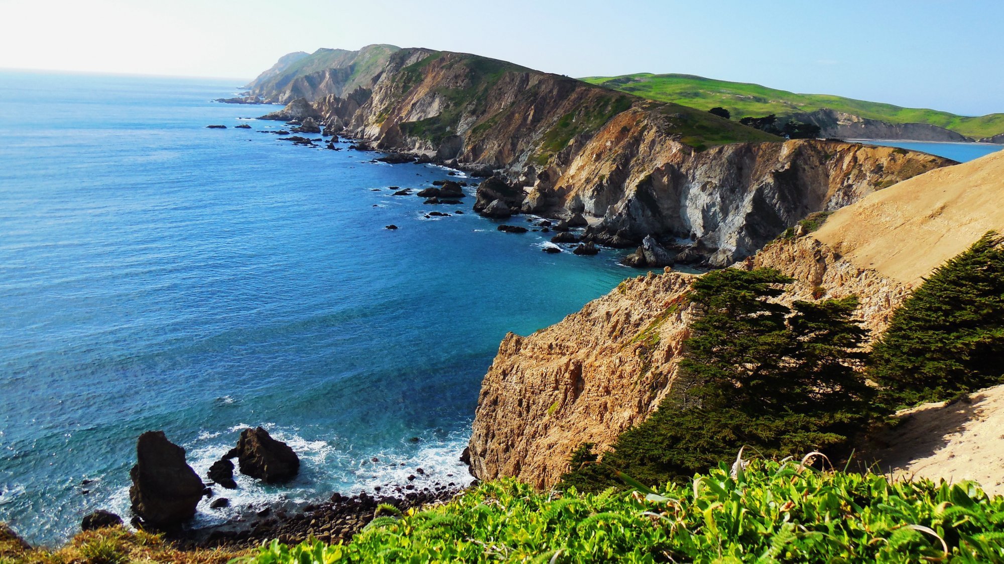 Пойнт. Инвернесс Пойнт Рейес. Point Reyes National Seashore. Мыс Пойнт-грей (point Grey). Андреевка Крым пляж фото.