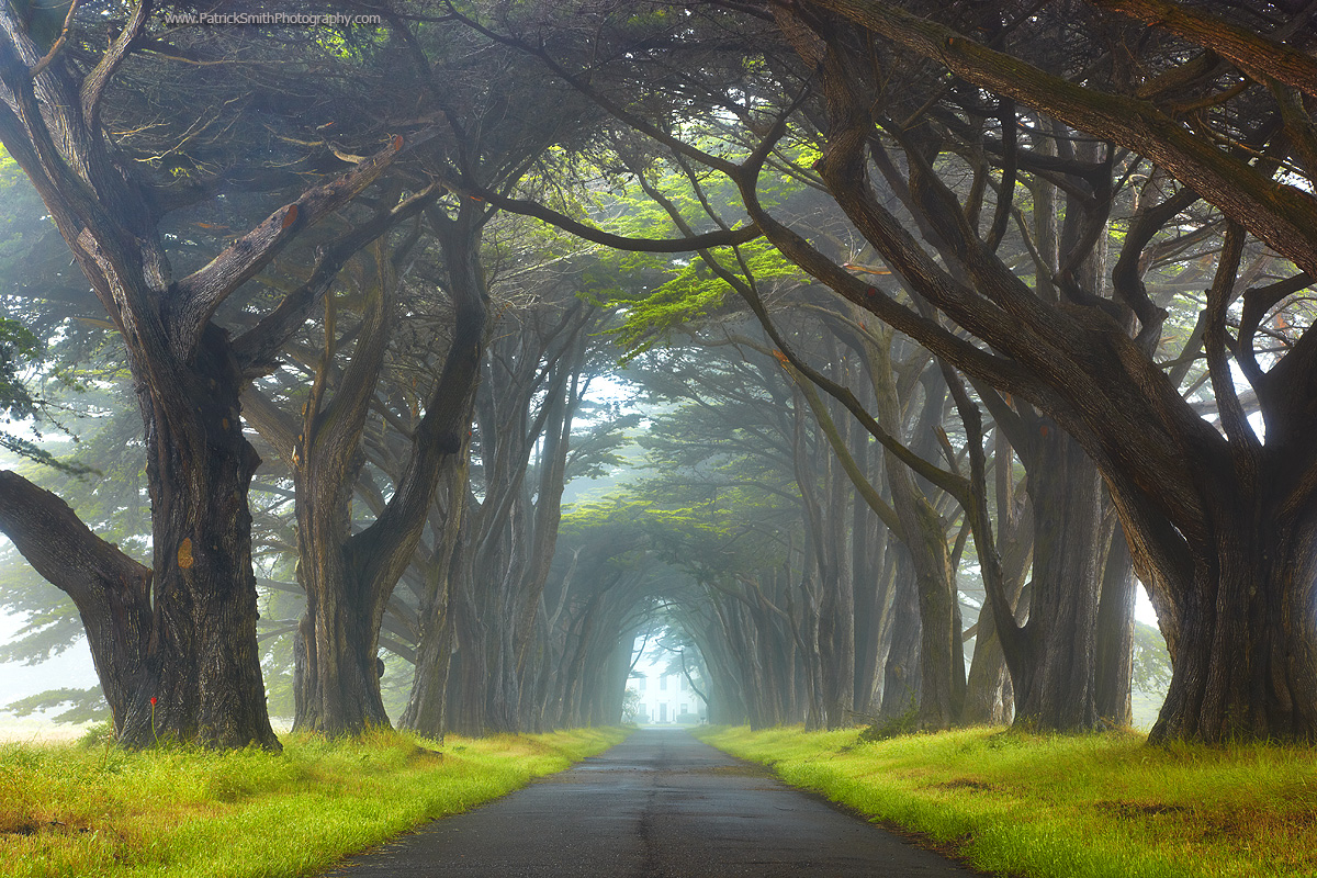 Elevation of Tomales Point Trail, California, USA