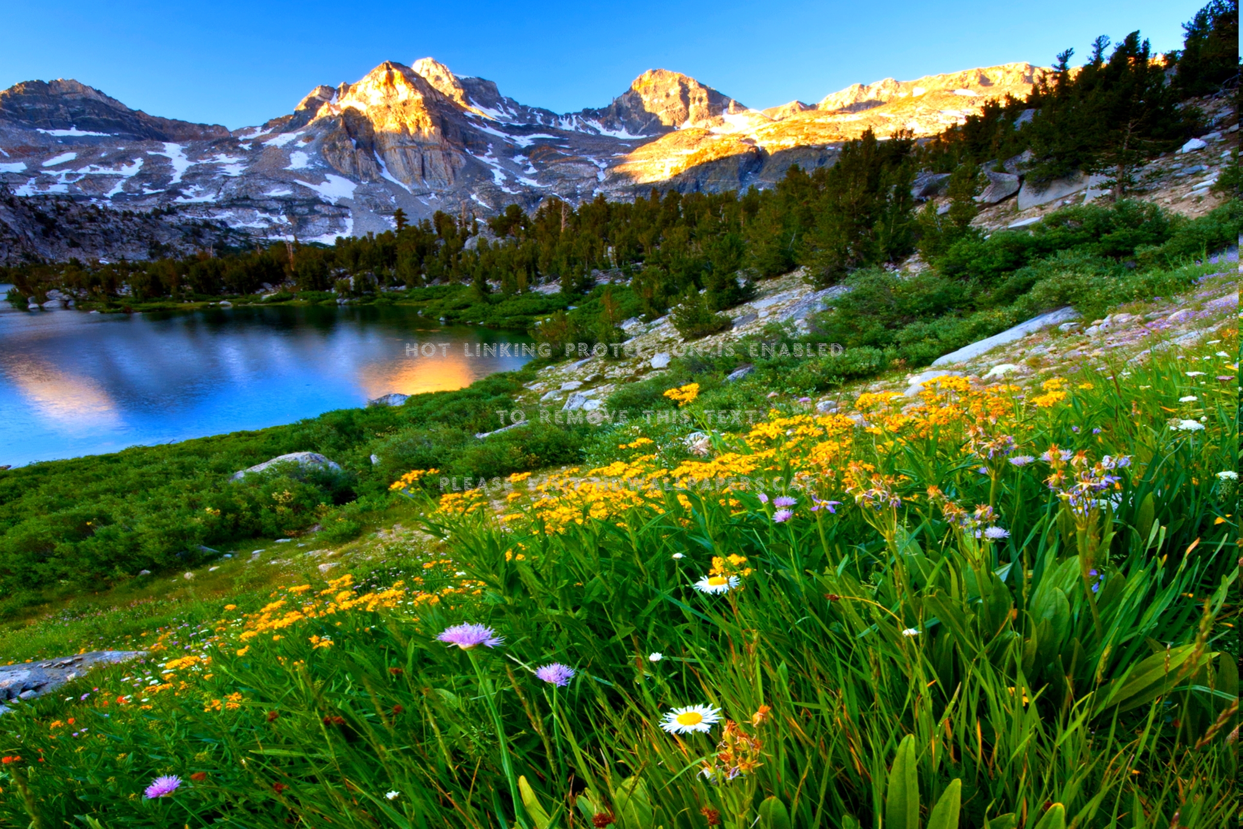 mountain spring slope lake nature