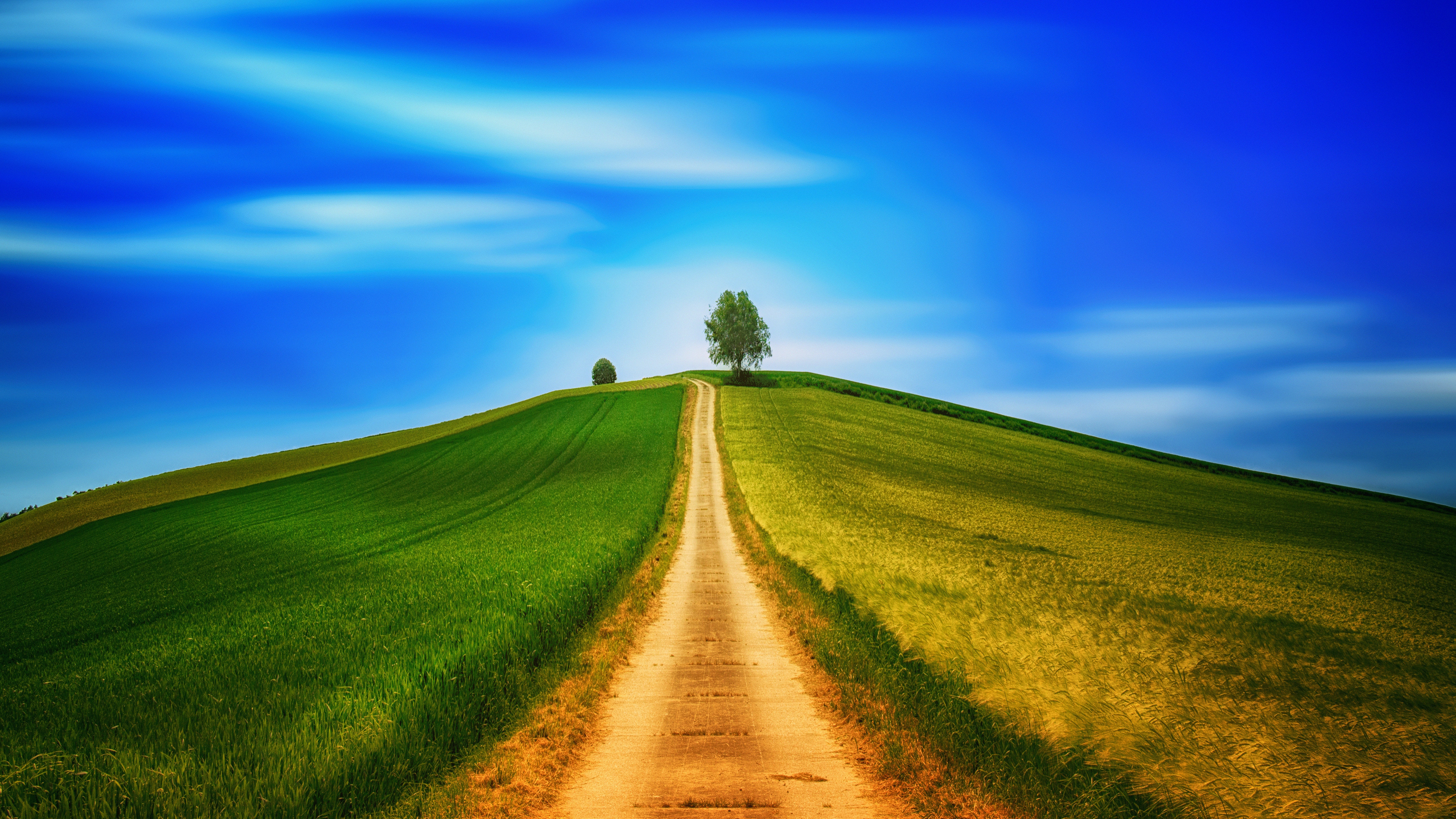 Landscape Wallpaper 4K, Green, Path, Countryside, Daytime, Summer, 5K, Nature