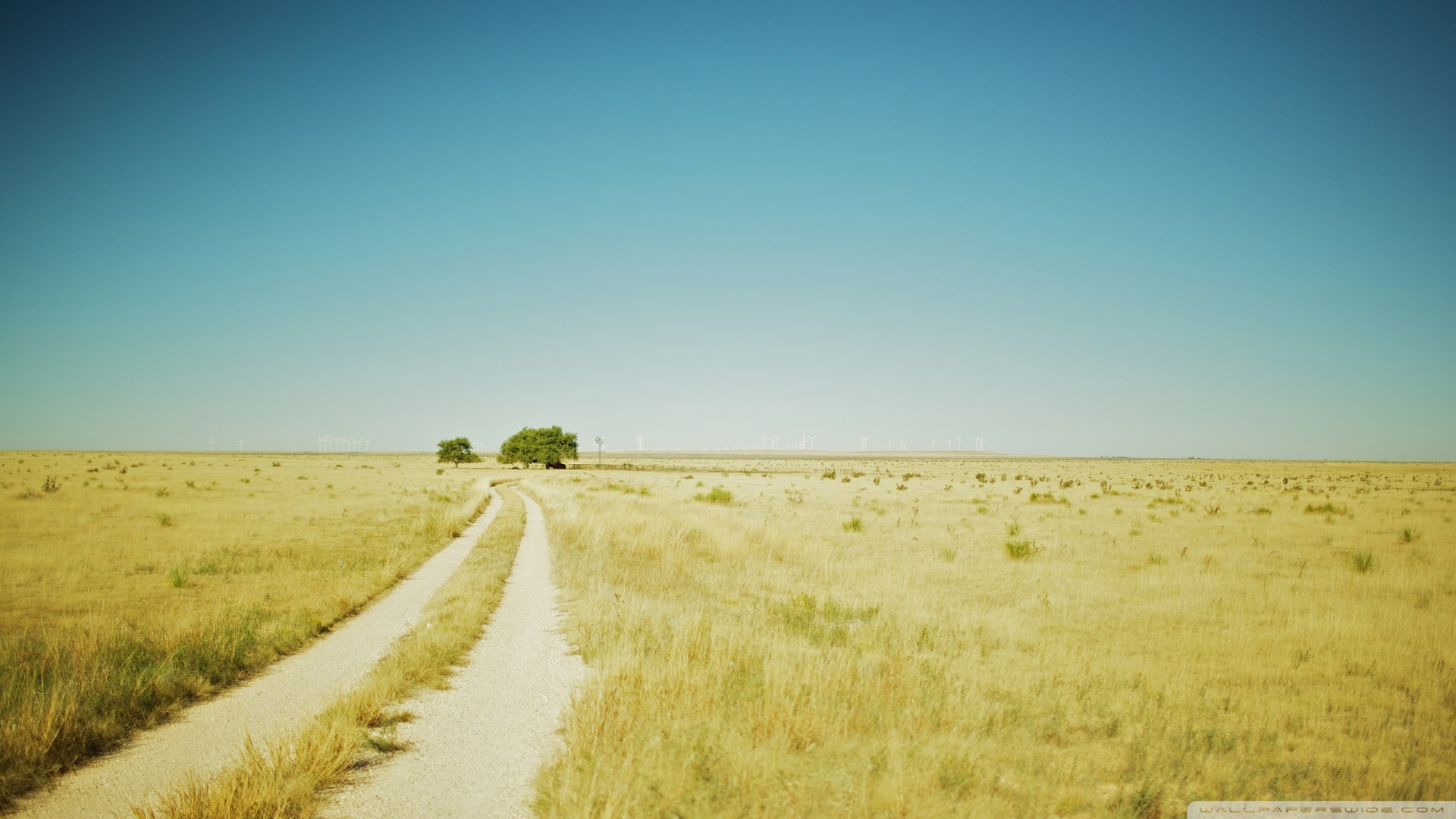 Beautiful Summer Landscape With A Field Path Ultra HD Desktop Background Wallpaper for 4K UHD TV, Multi Display, Dual Monitor, Tablet