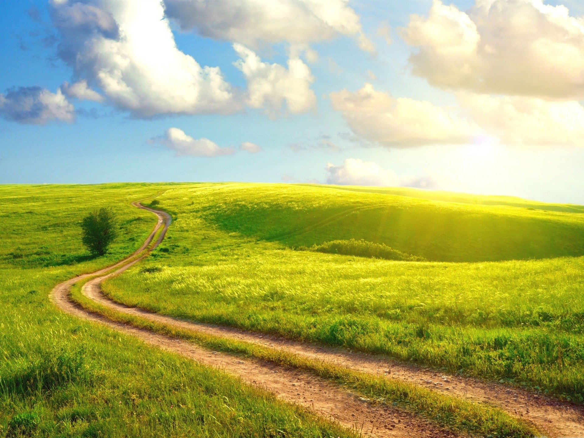 Field Path Beautiful Summer Landscape Wallpaper