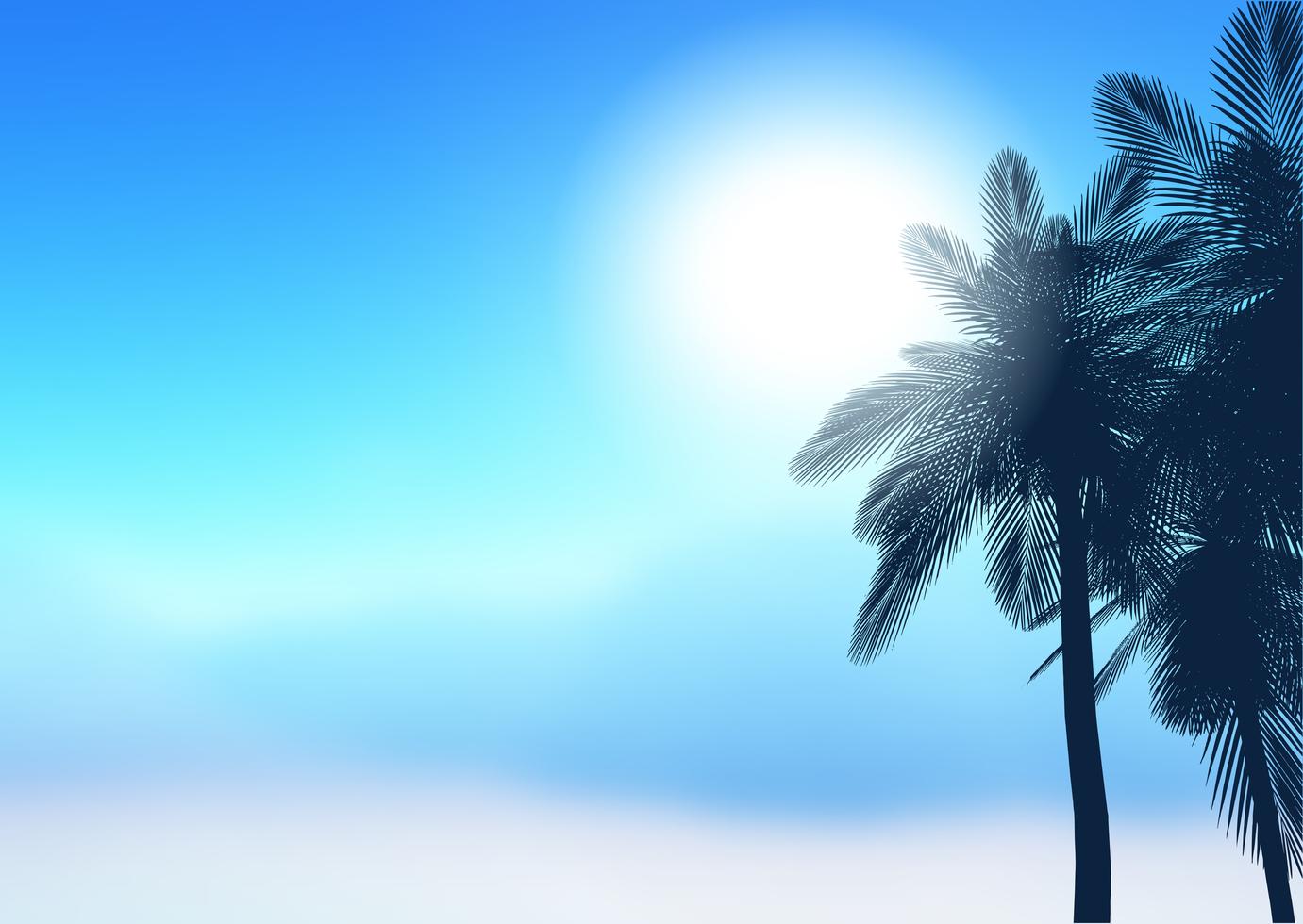 Summer palm trees background
