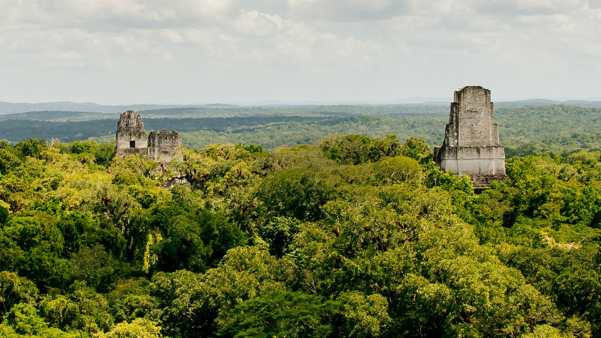 Tikal National Park ancient city ruins