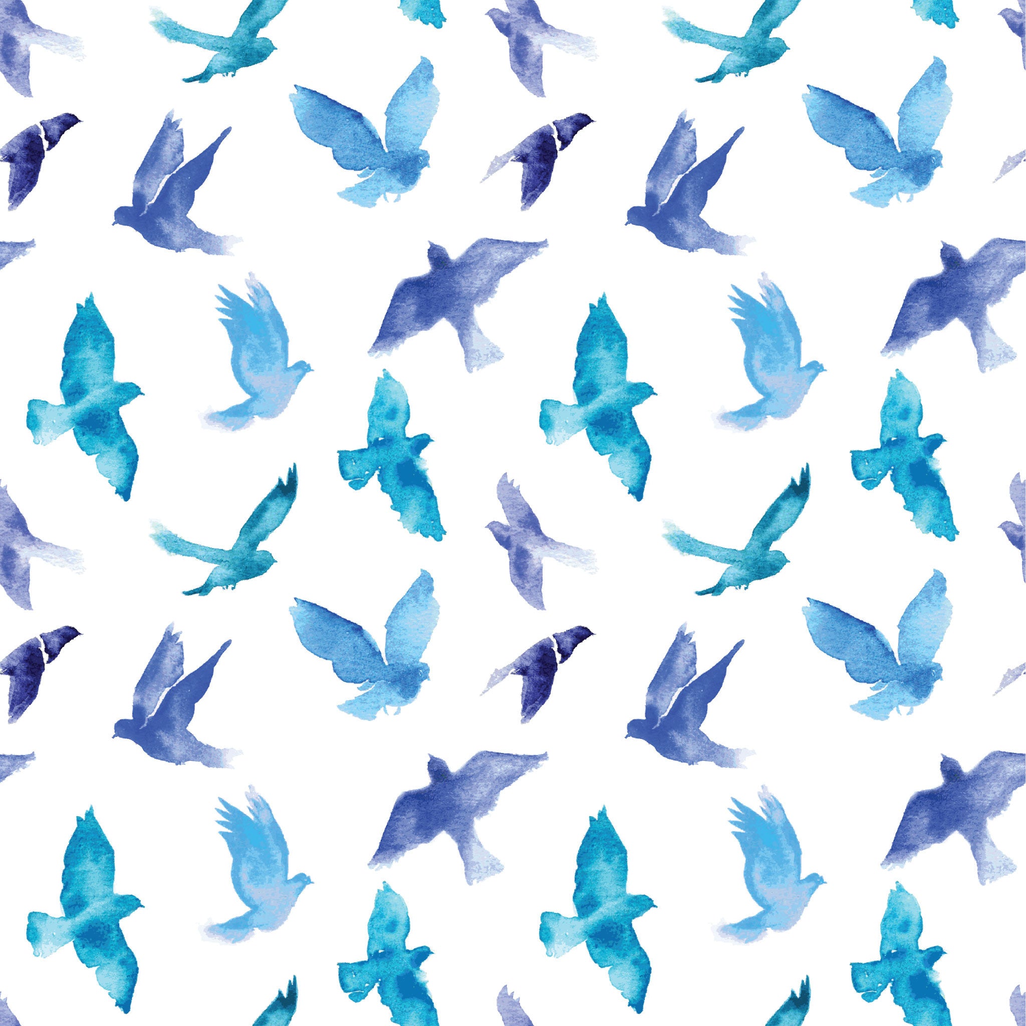 Pretty Blue Bird Wallpapers Wallpaper Cave