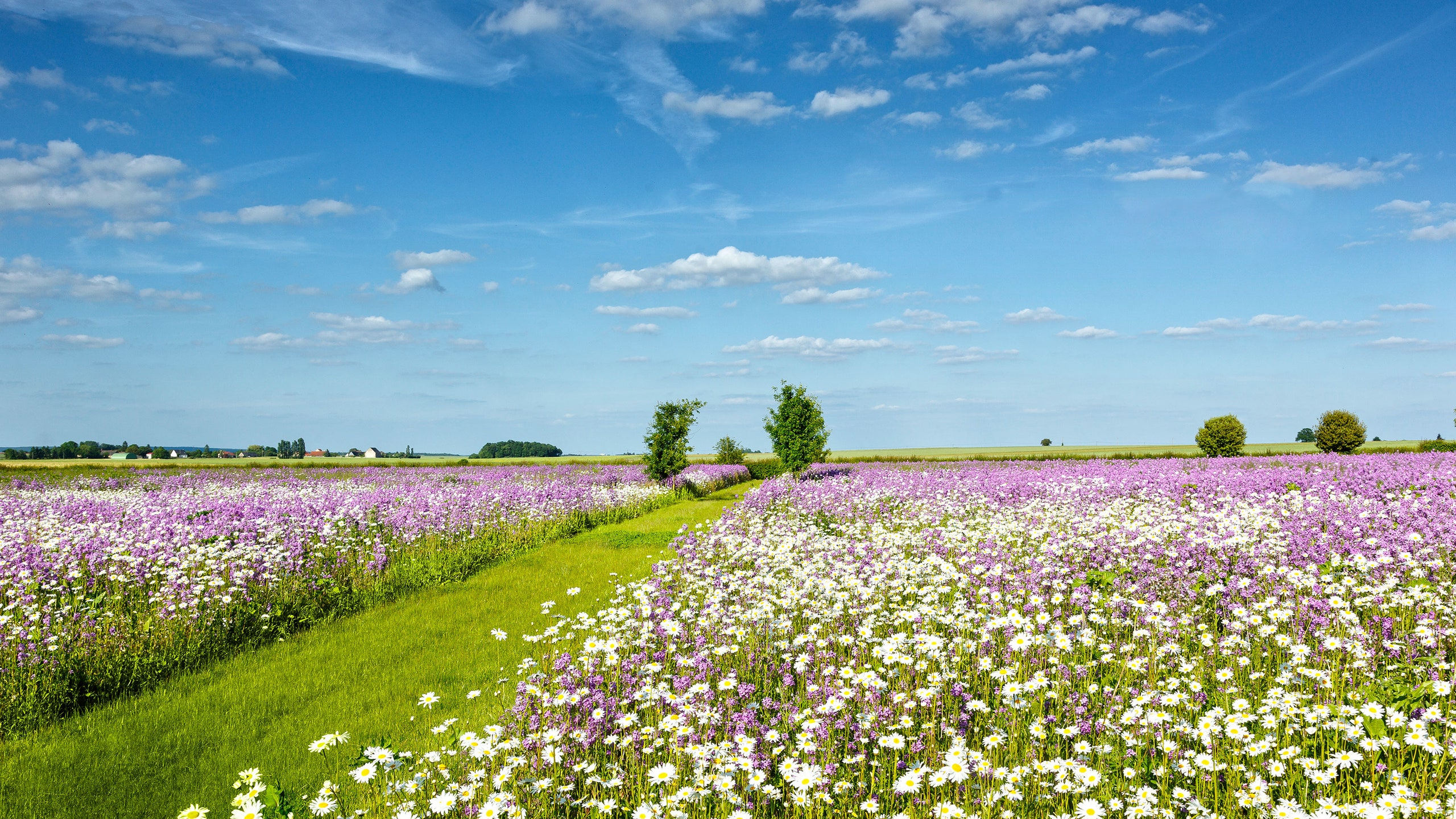 This French Country Estate Boasts Unbelievably Beautiful Gardens