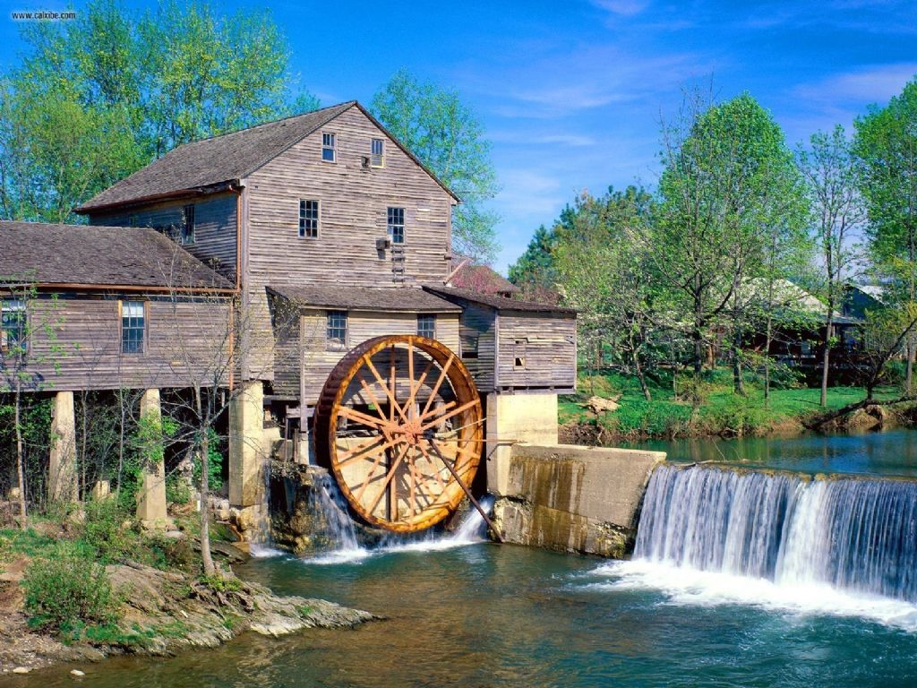 Dollywood Wallpaper