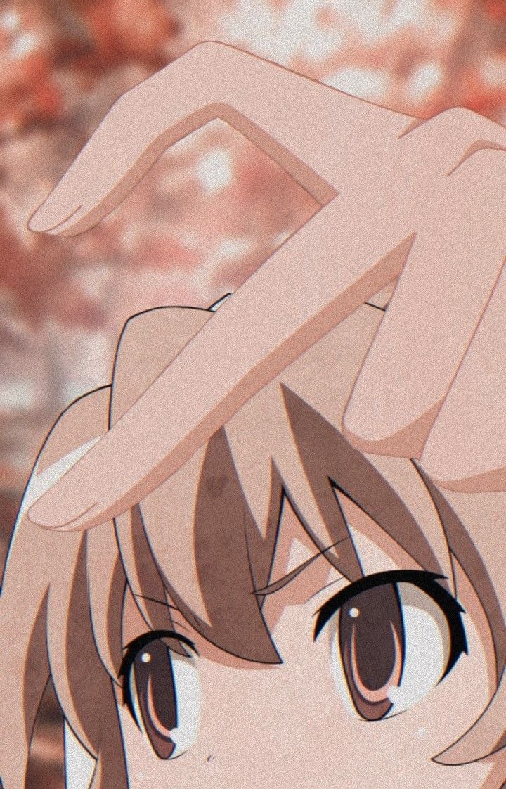 Toradora. Toradora, Friend anime, Anime wallpaper